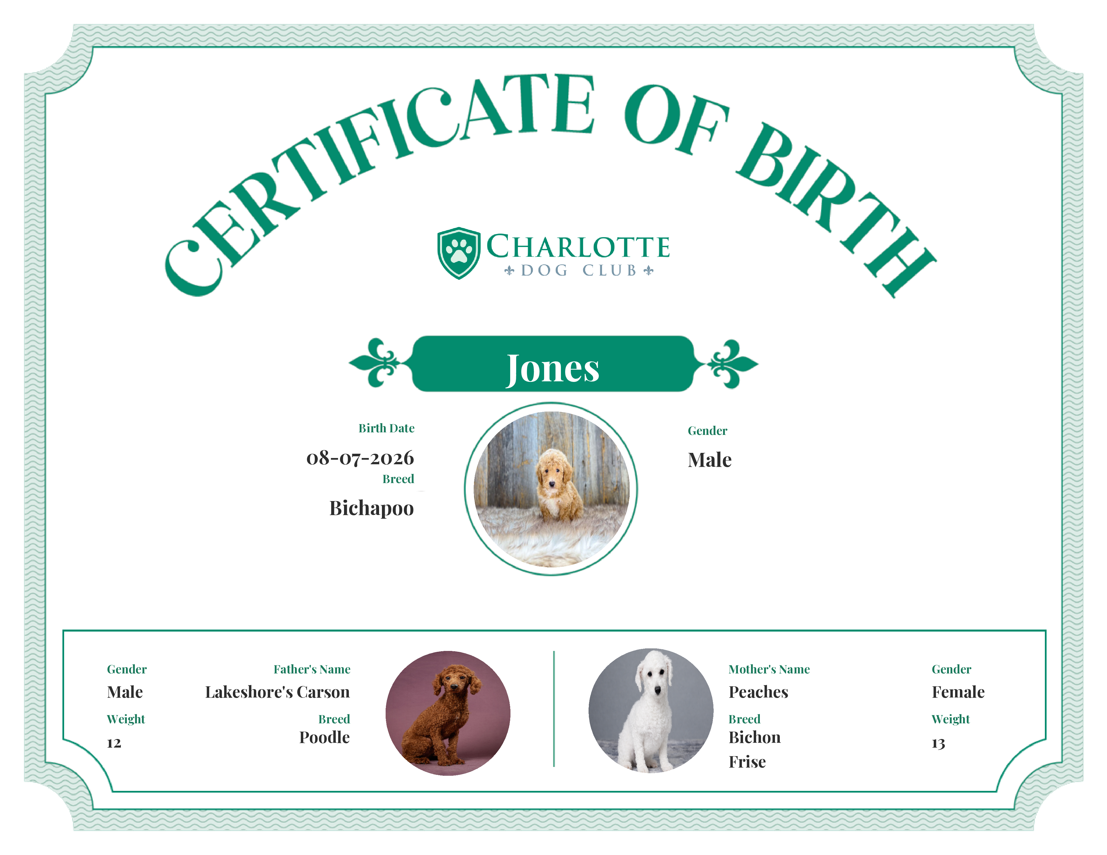 Jones's Birth Certificate