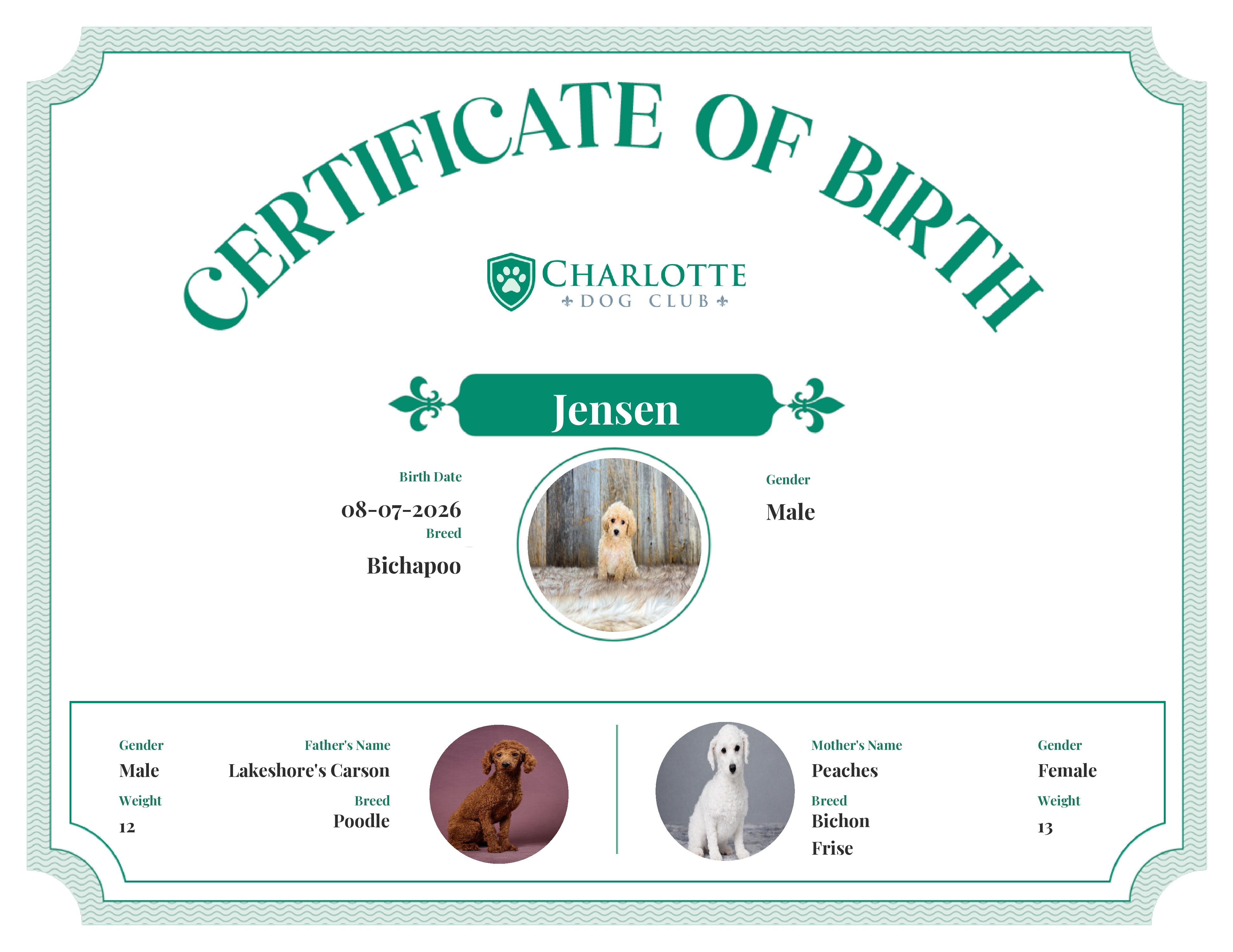 Jensen's Birth Certificate