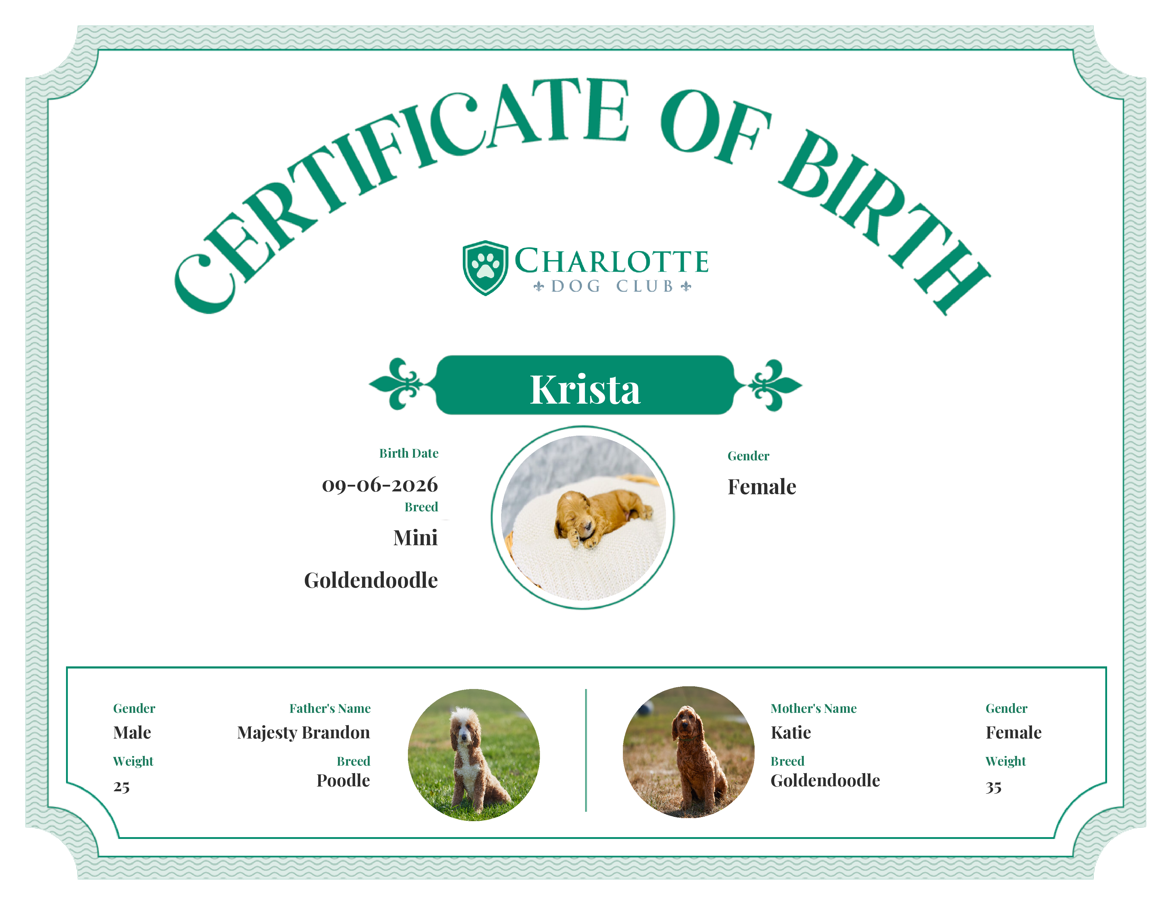 Krista's Birth Certificate