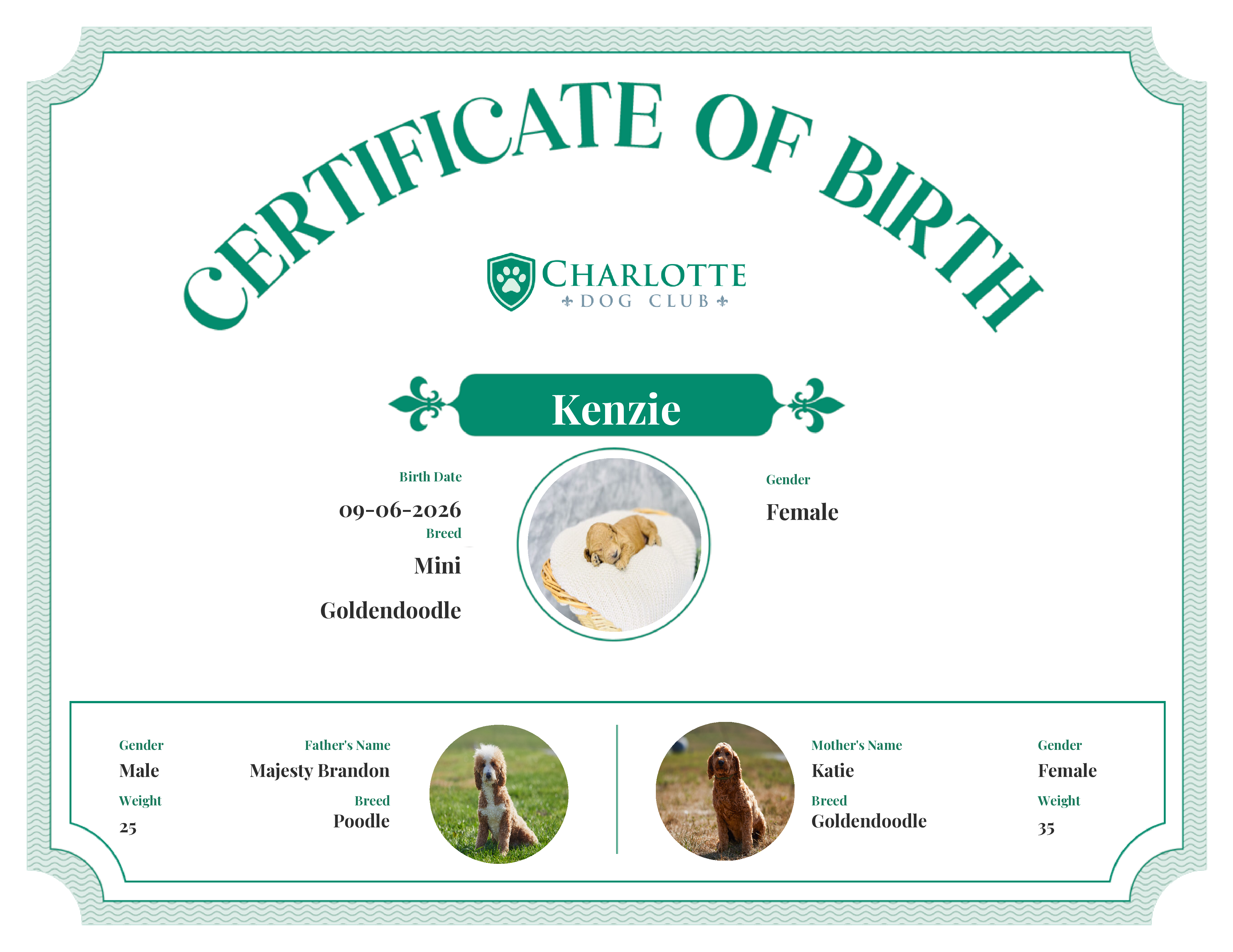 Kenzie's Birth Certificate