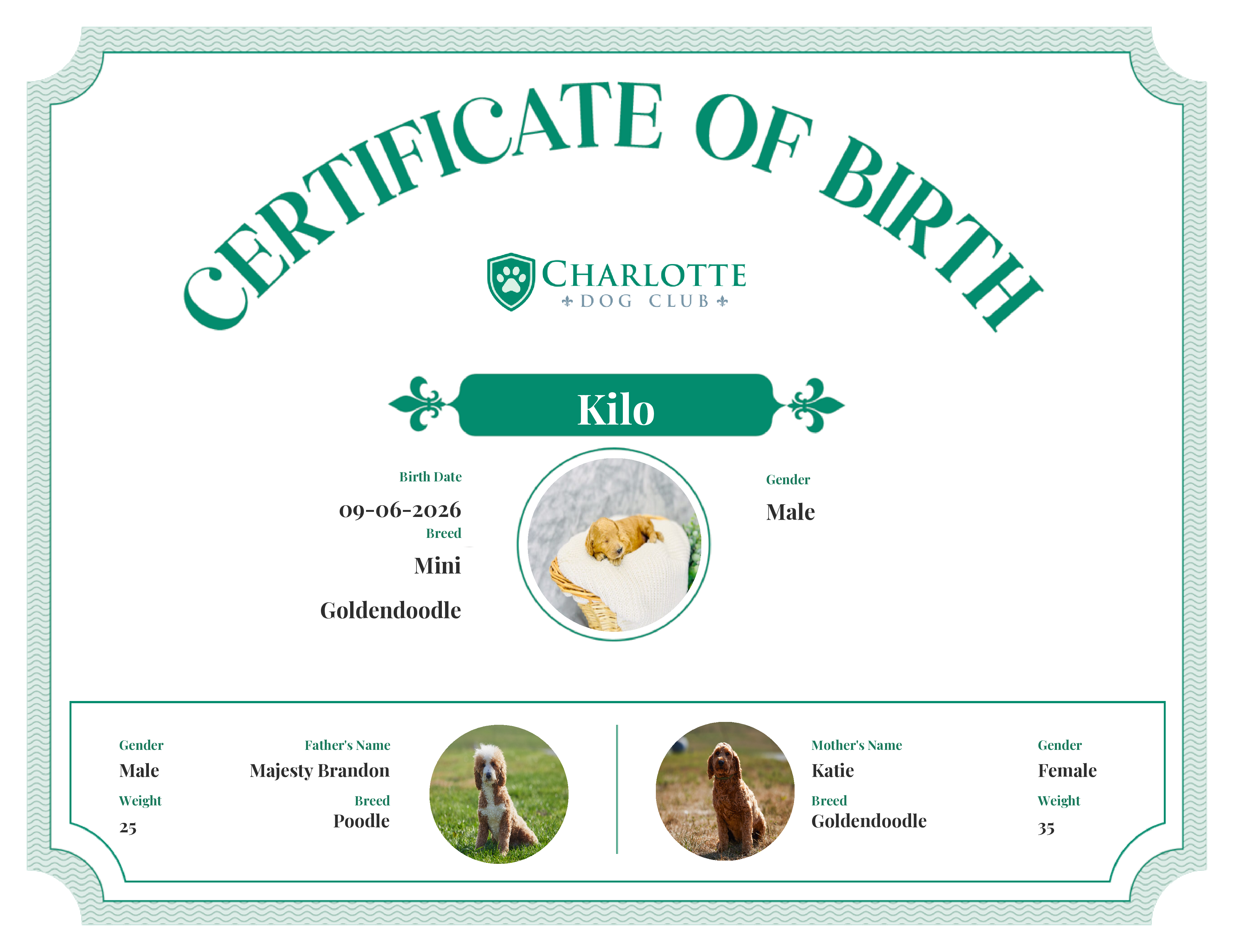 Kilo's Birth Certificate