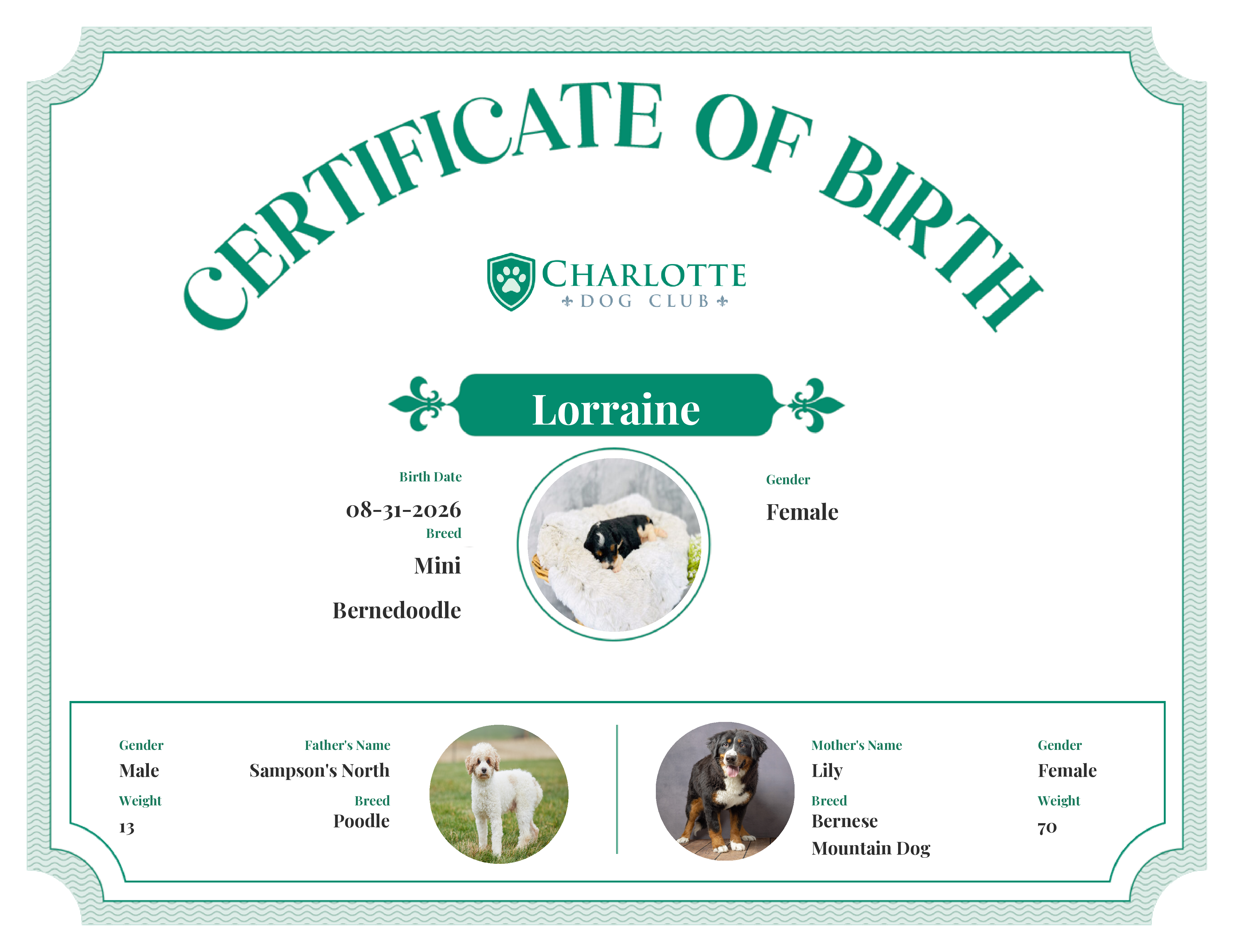 Lorraine's Birth Certificate