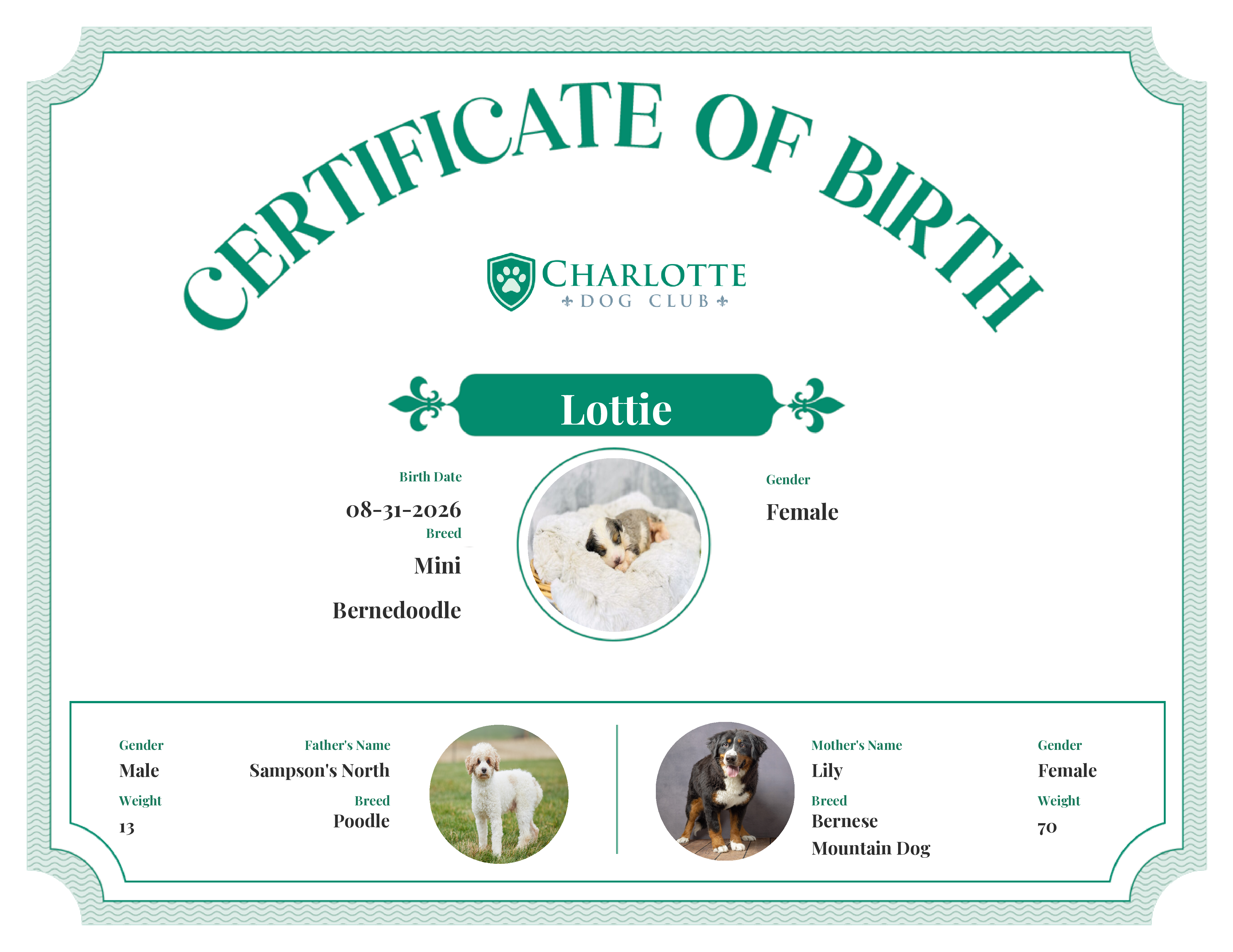 Lottie's Birth Certificate