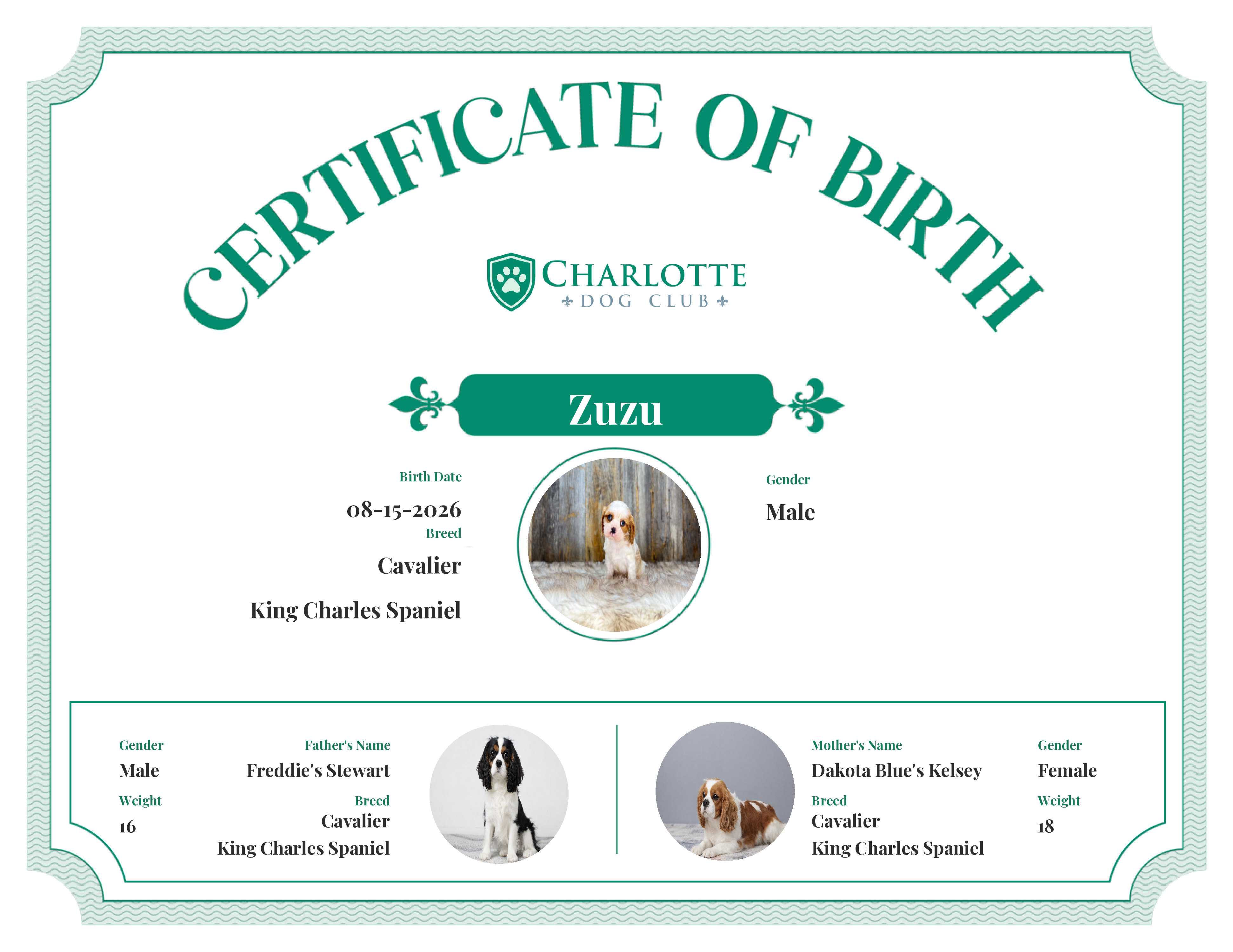 Zuzu's Birth Certificate