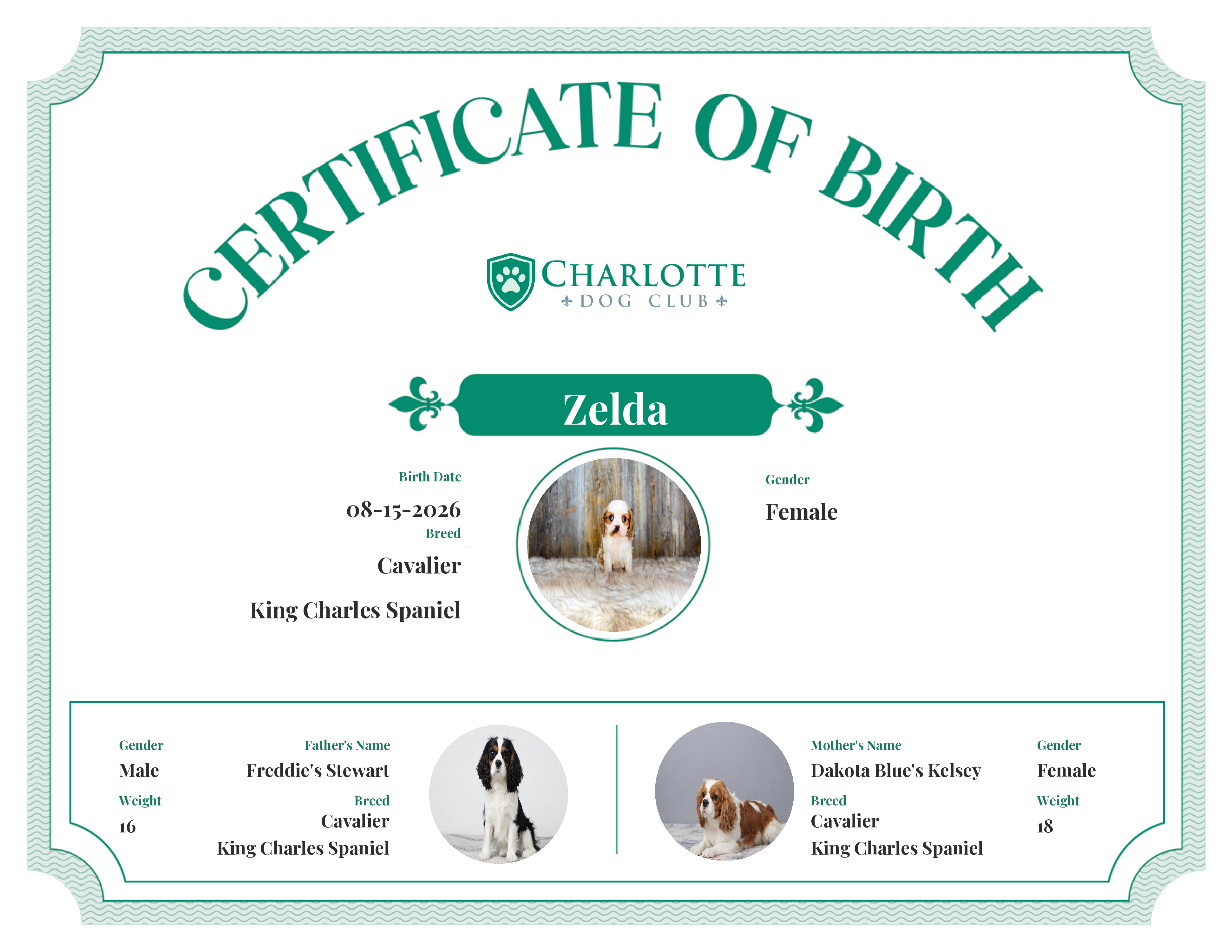 Zelda's Birth Certificate