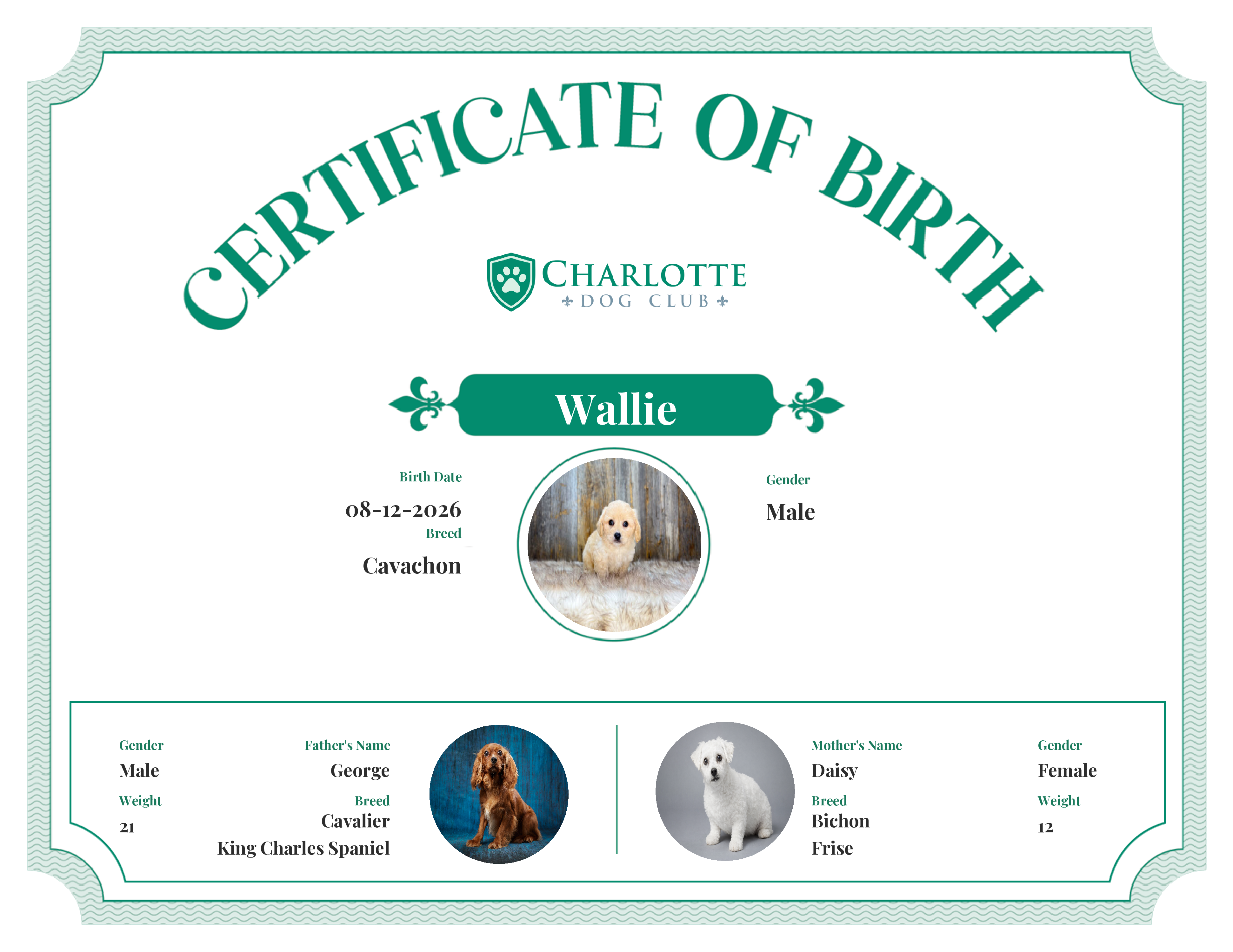 Wallie's Birth Certificate