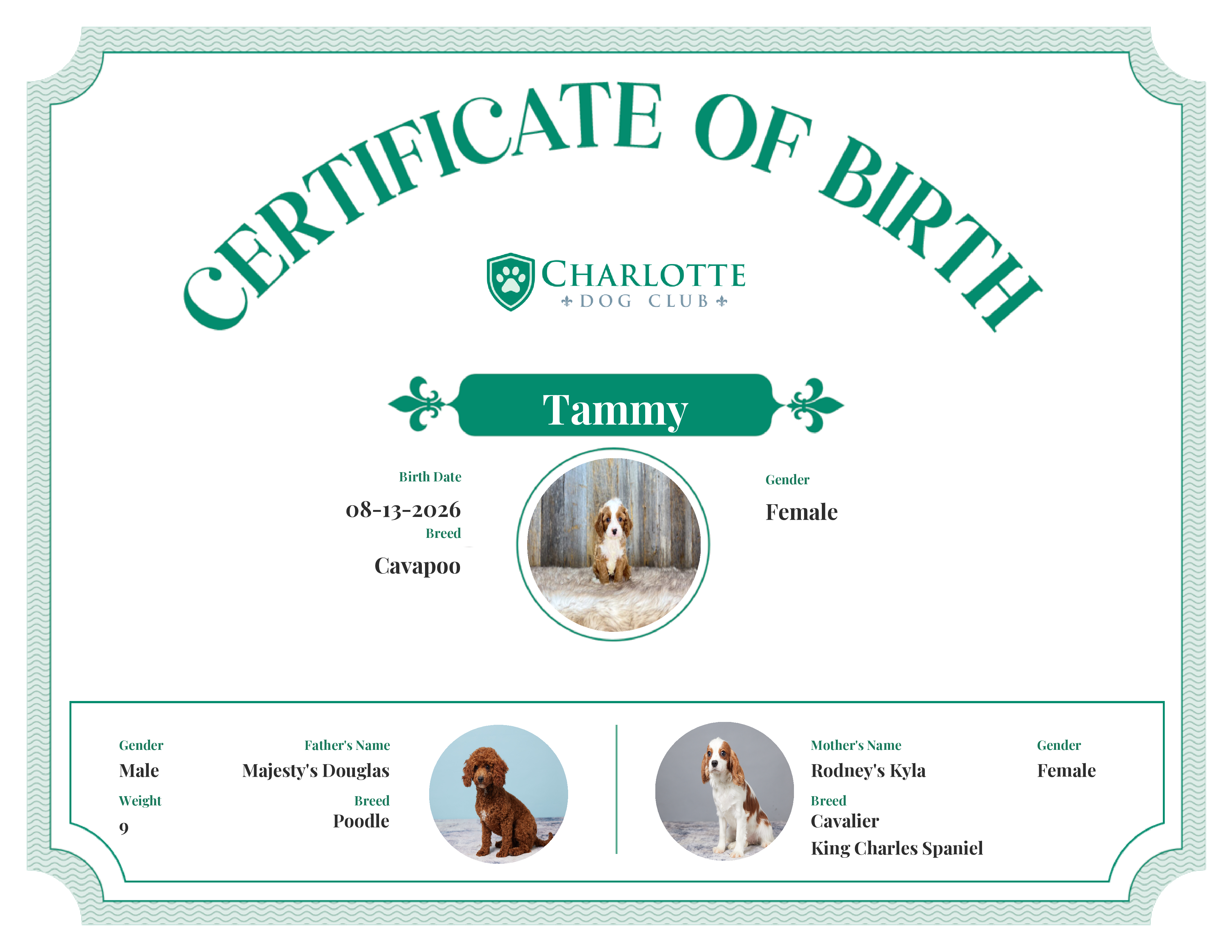Tammy's Birth Certificate