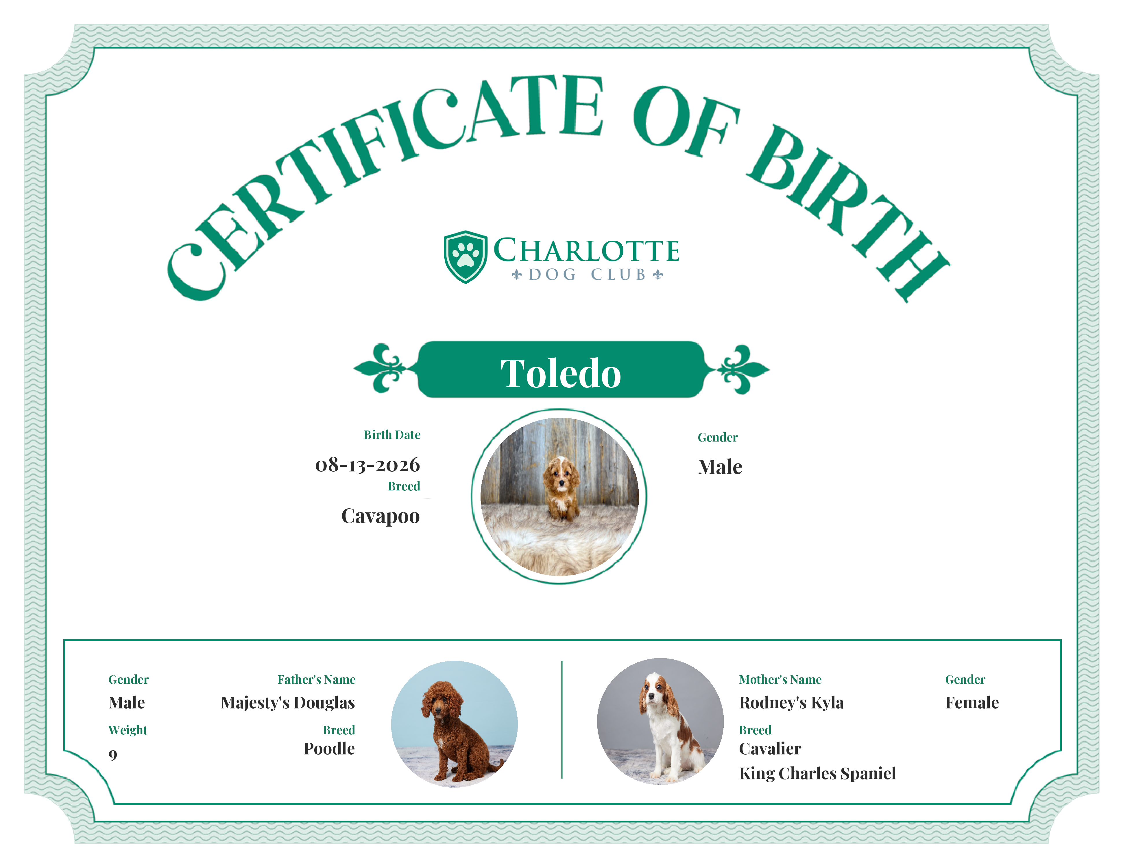 Toledo's Birth Certificate