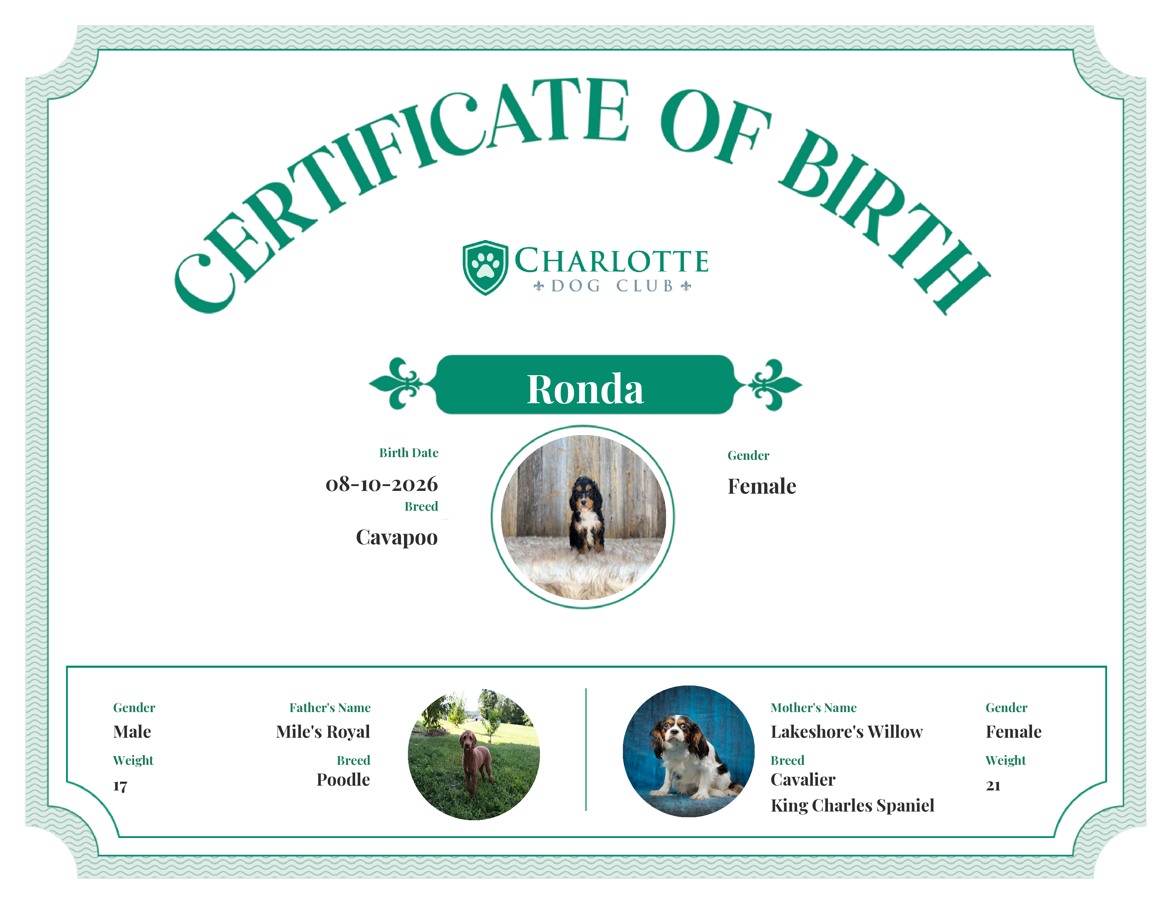 Ronda's Birth Certificate