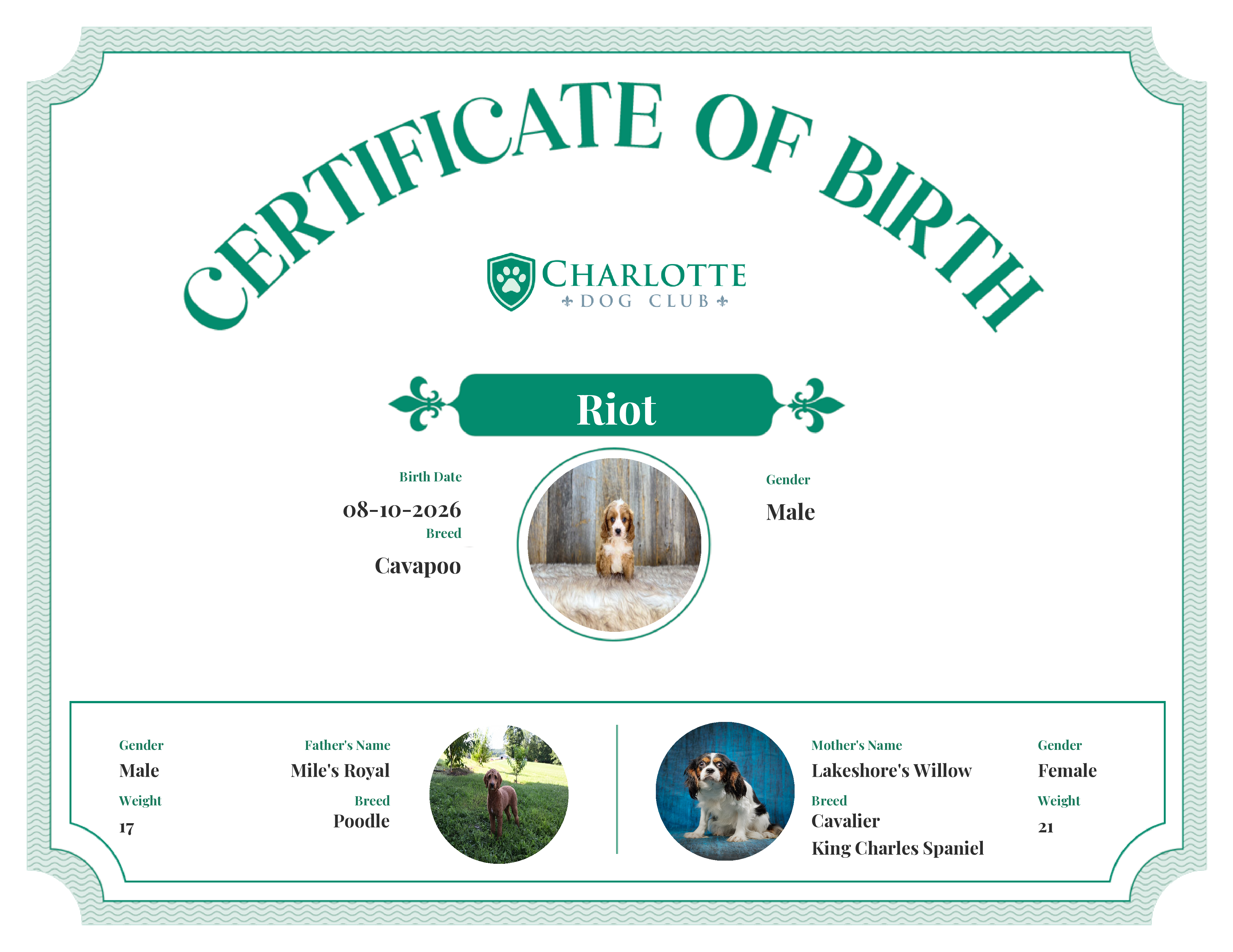 Riot's Birth Certificate