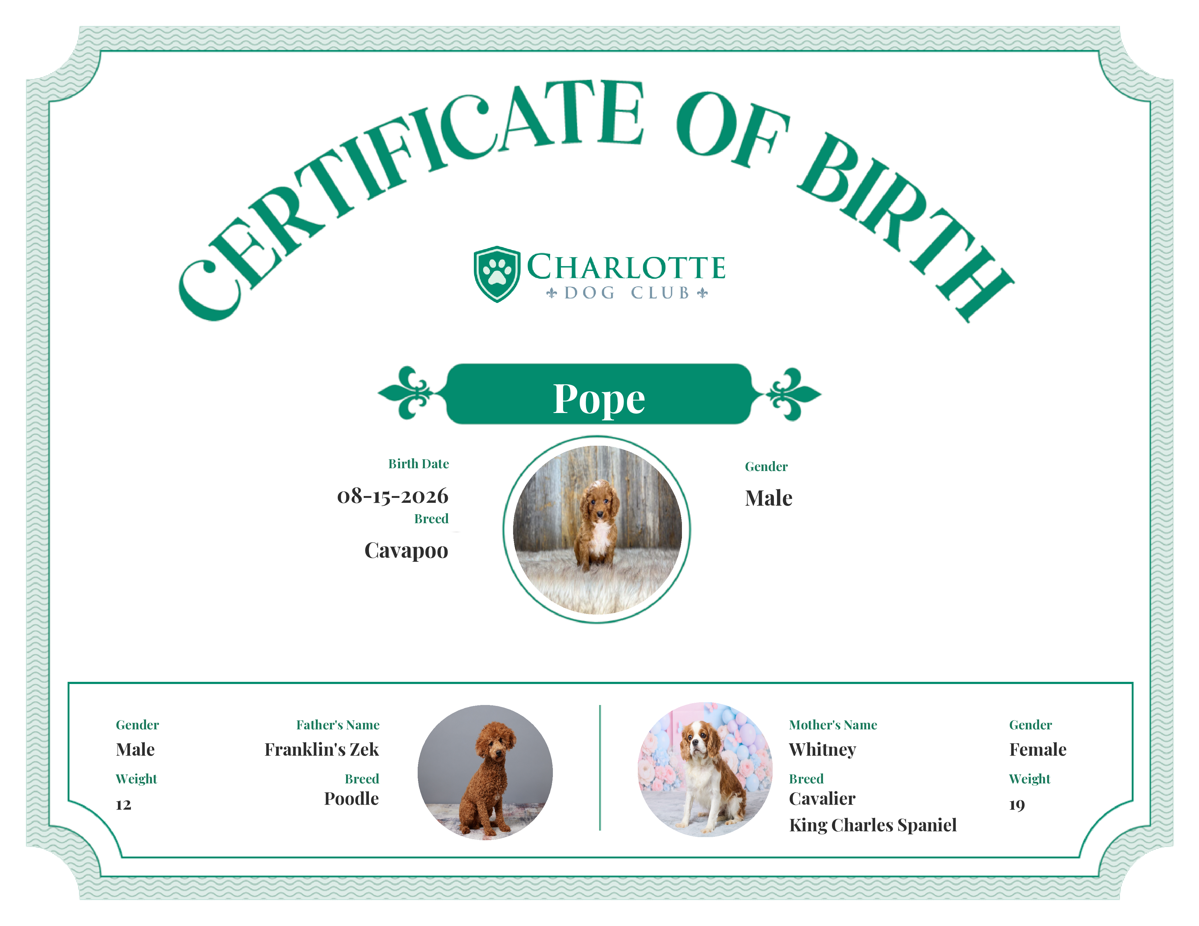 Pope's Birth Certificate