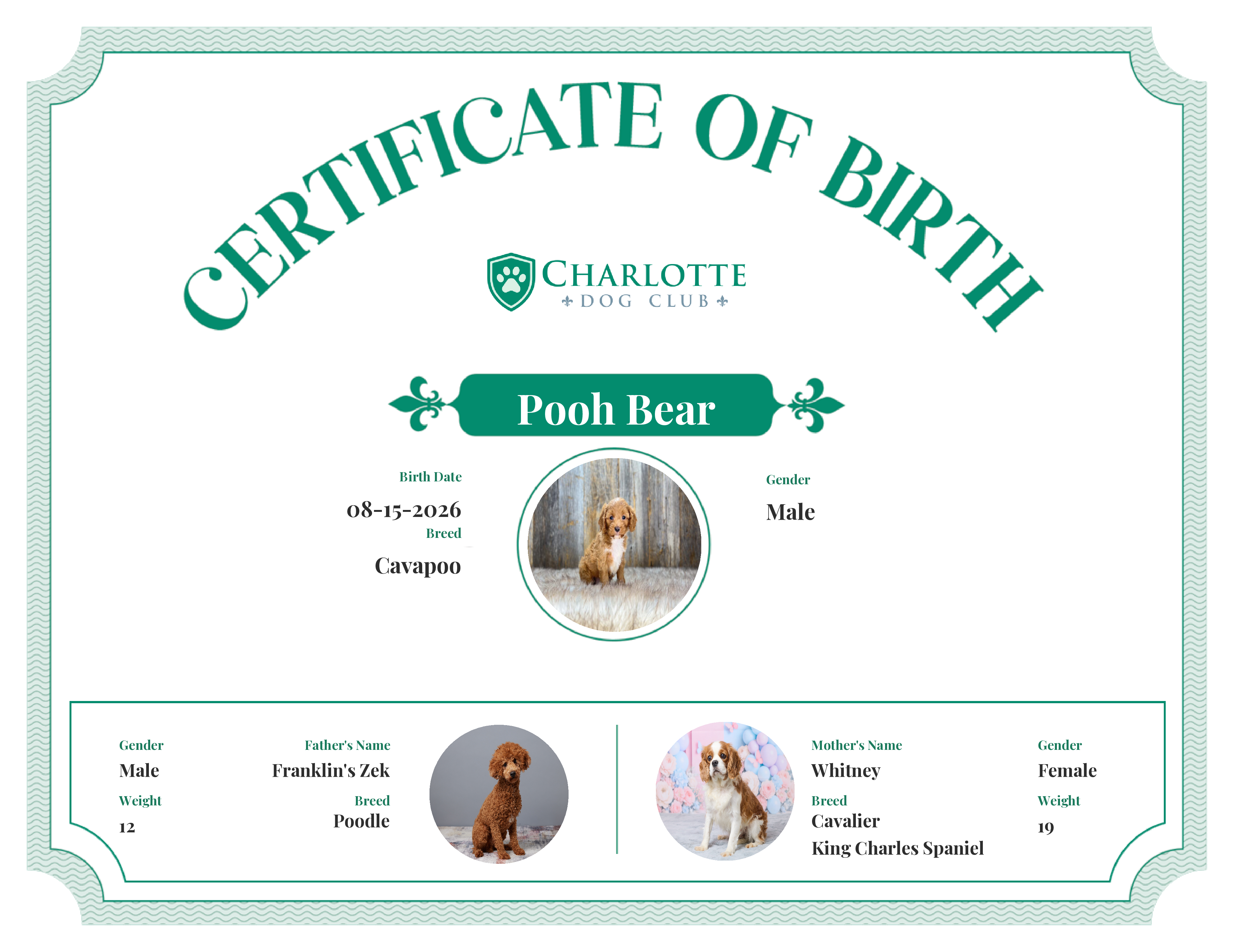 Pooh Bear's Birth Certificate