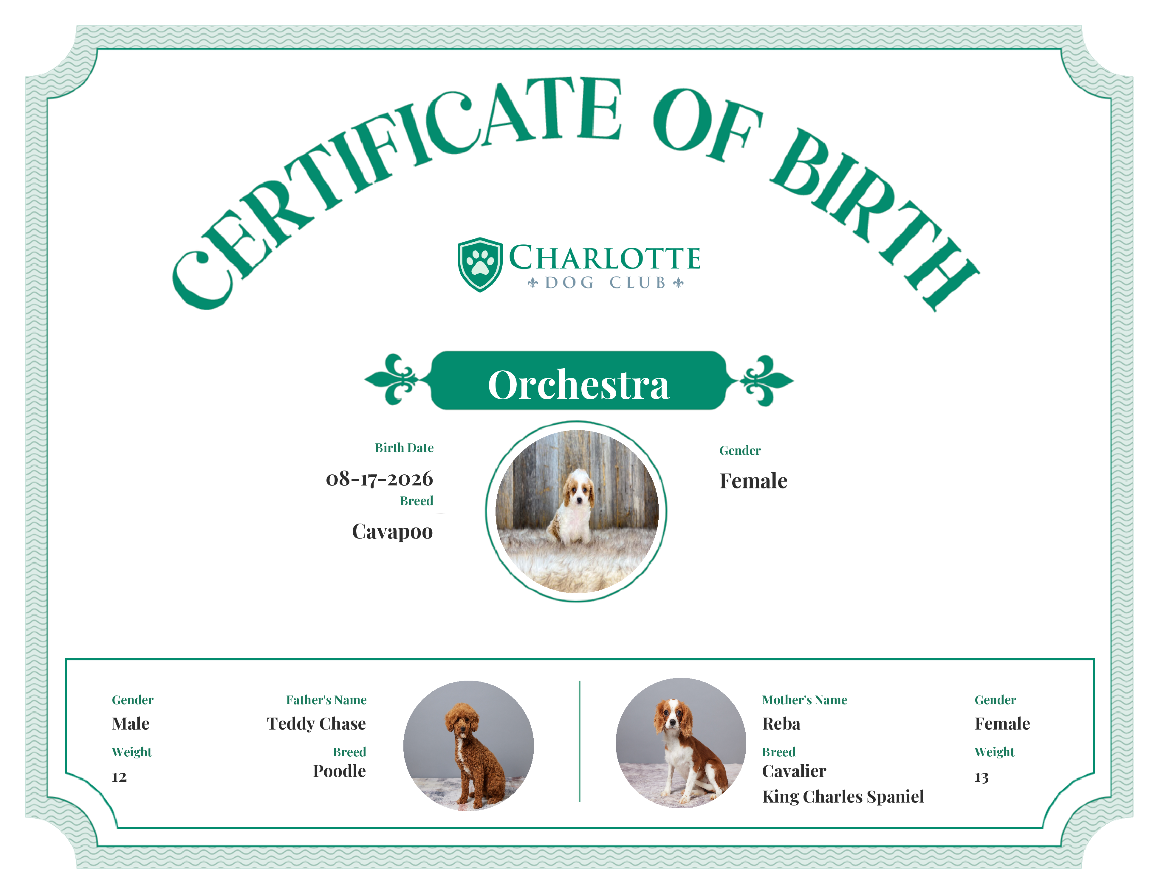 Orchestra's Birth Certificate