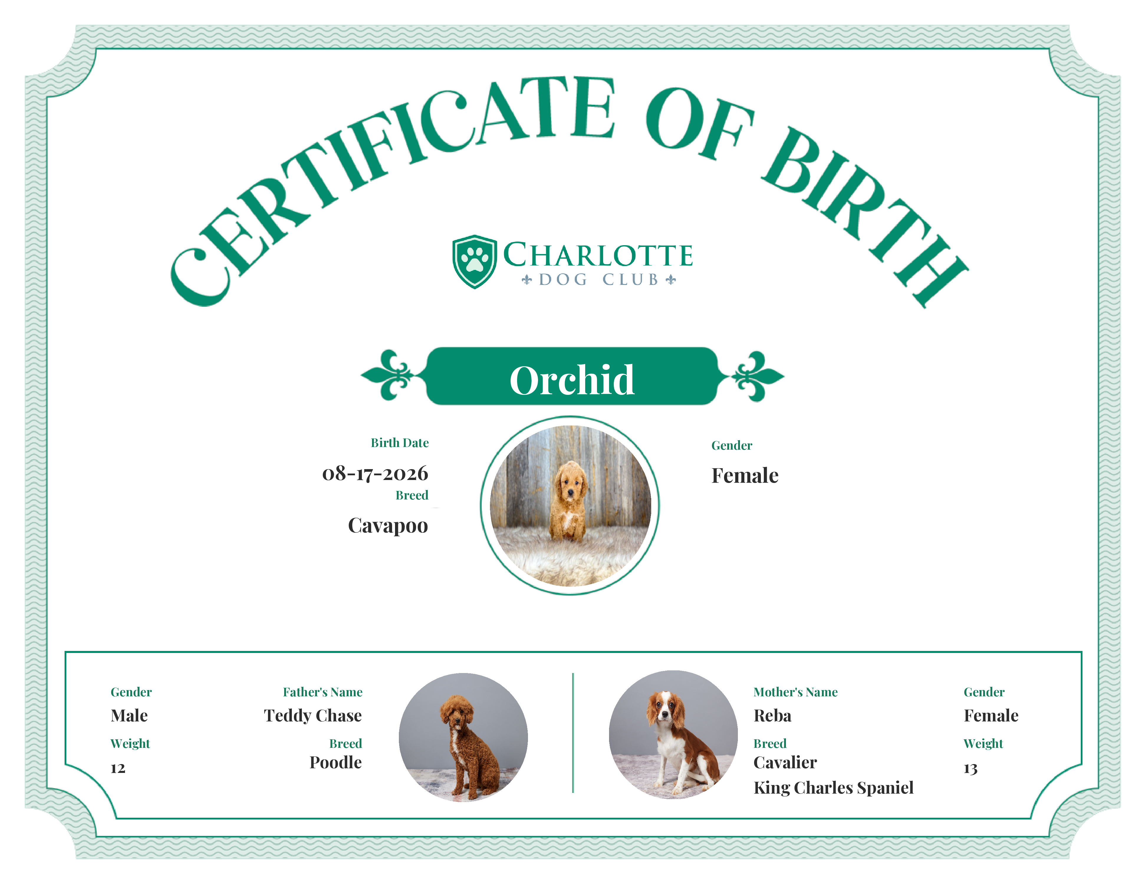 Orchid's Birth Certificate