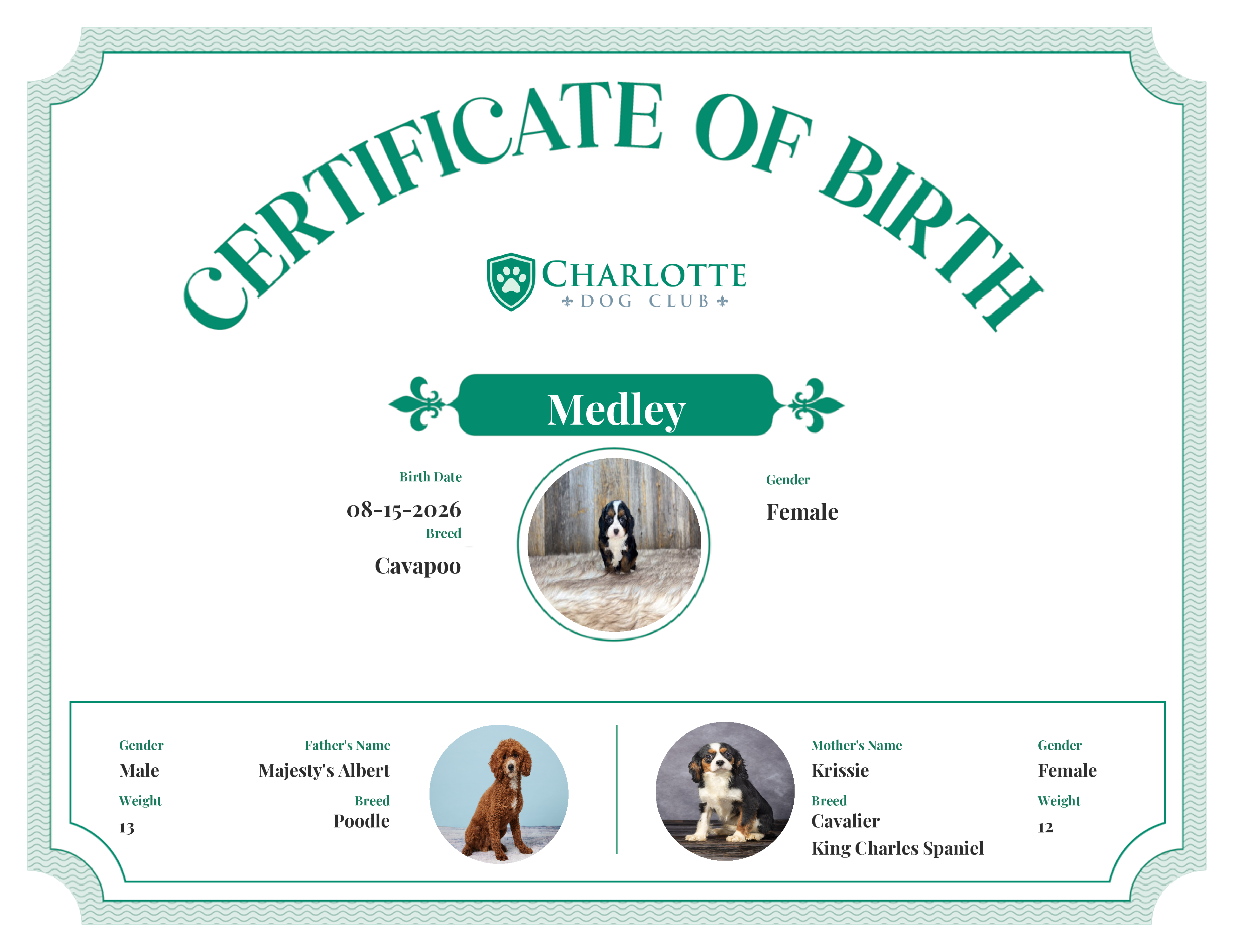 Medley's Birth Certificate