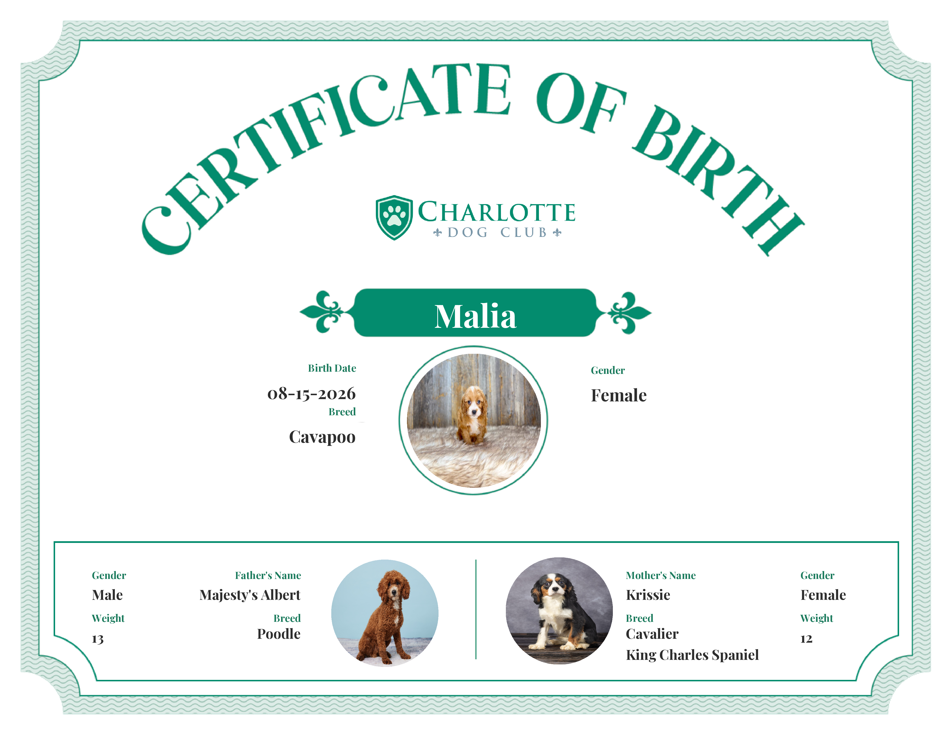 Malia's Birth Certificate
