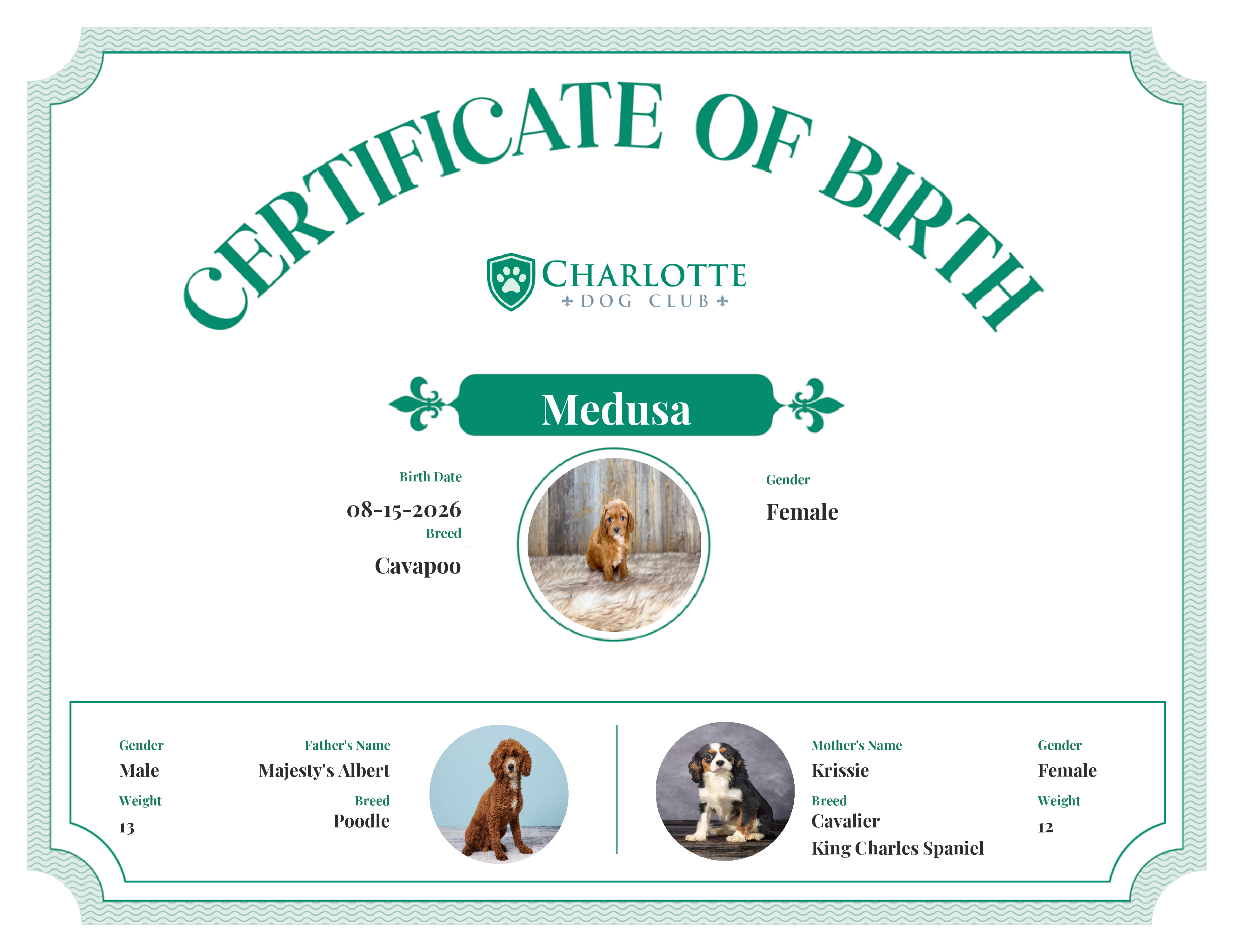 Medusa's Birth Certificate