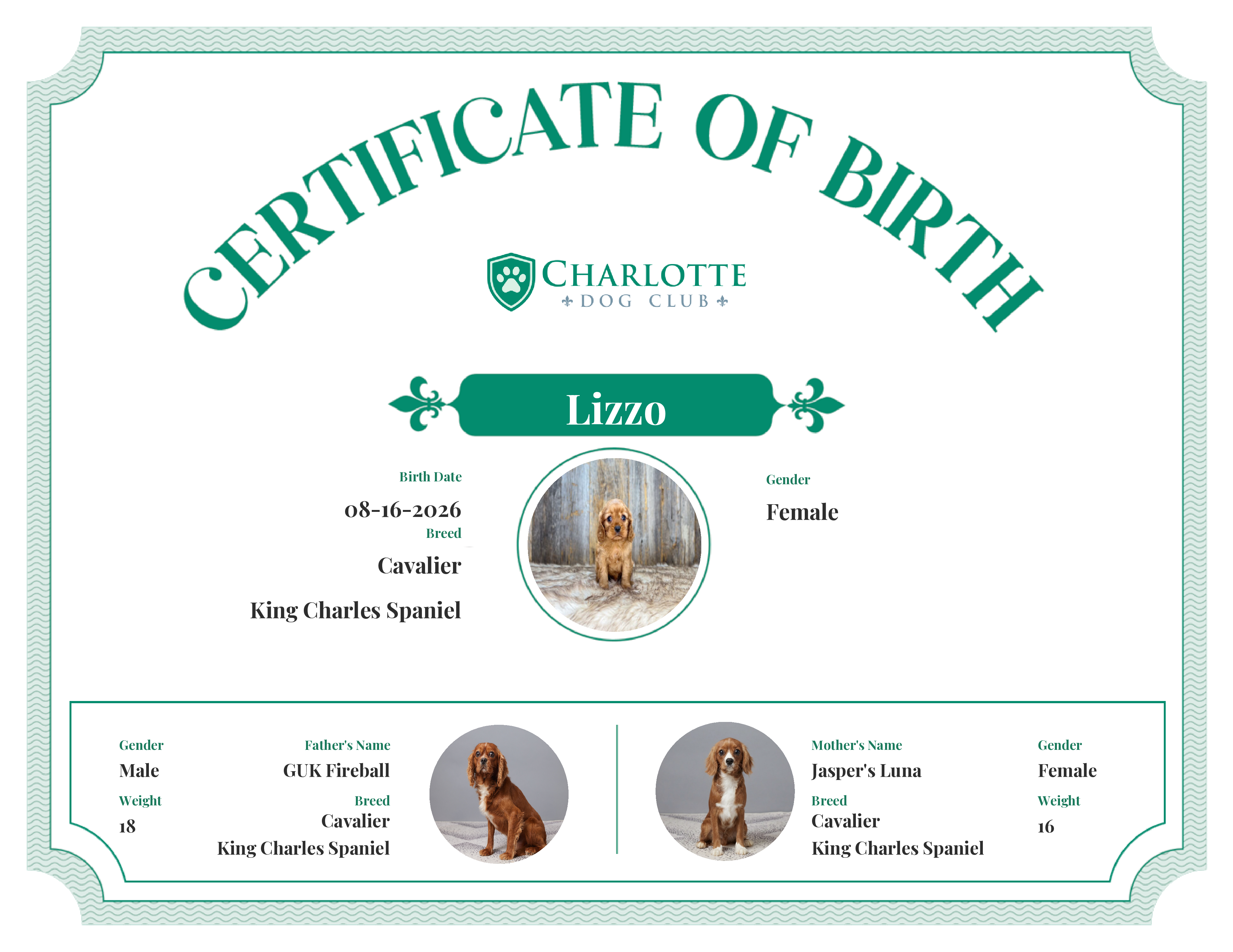 Lizzo's Birth Certificate
