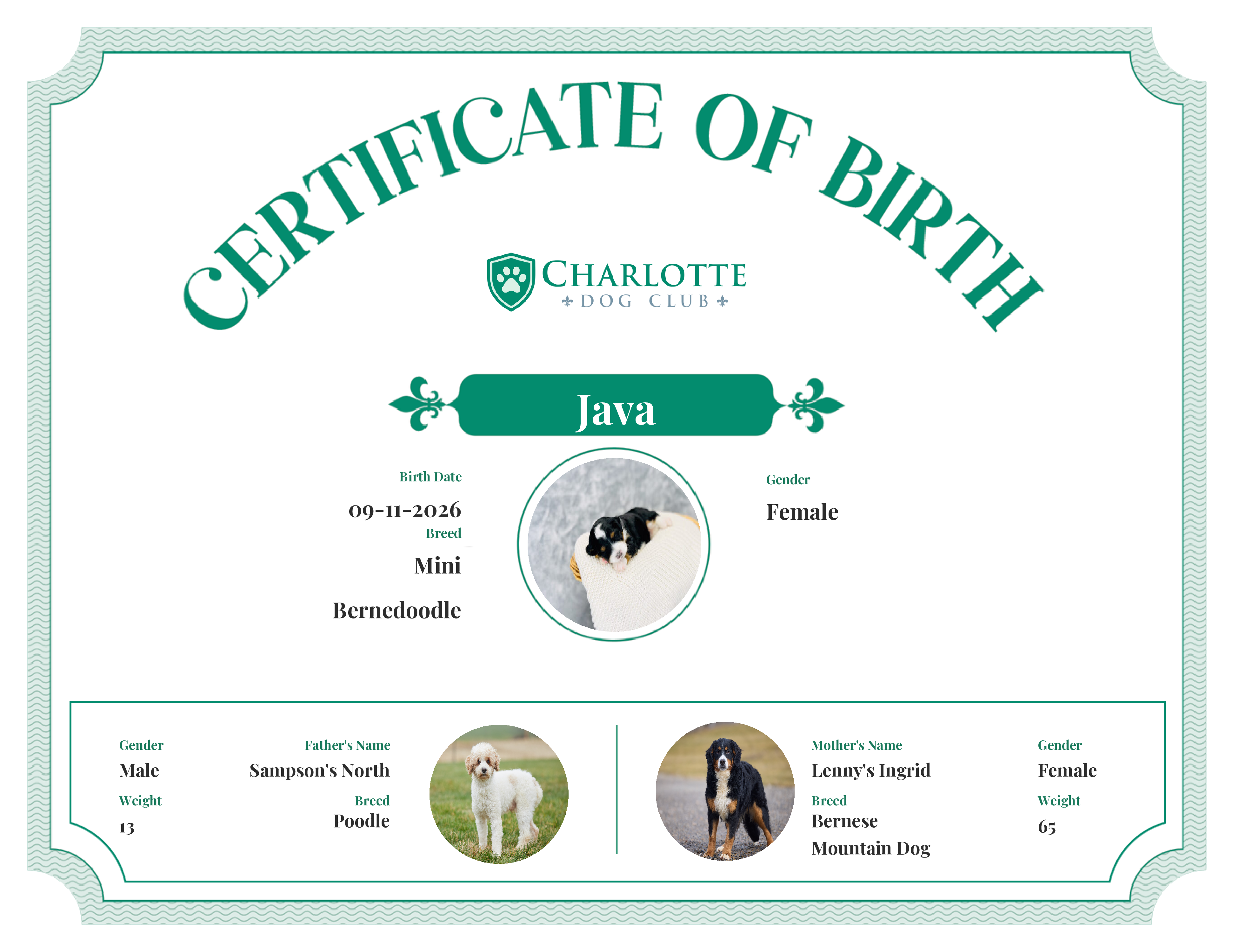 Java's Birth Certificate