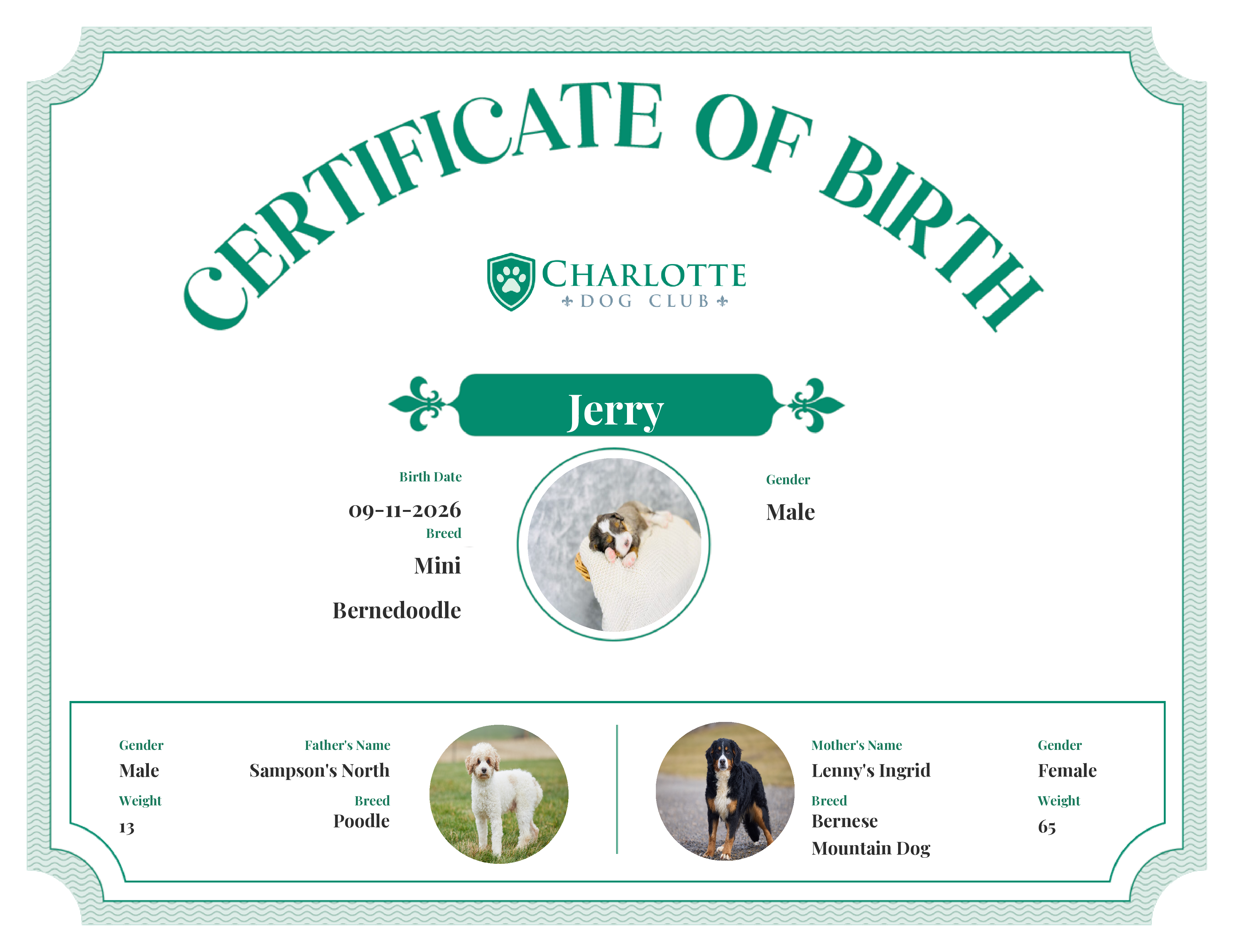 Jerry's Birth Certificate