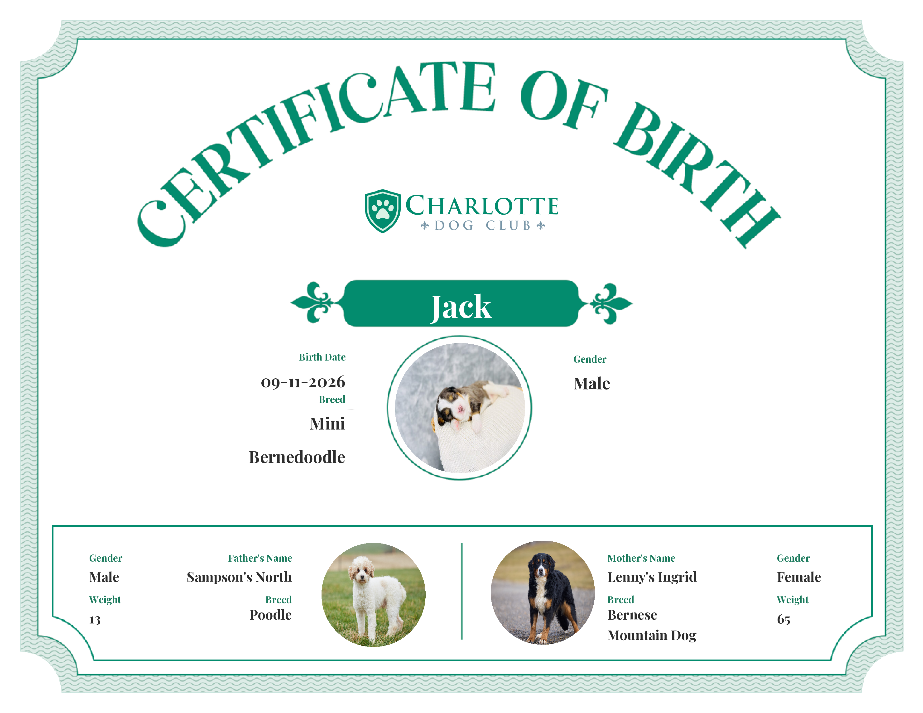 Jack's Birth Certificate