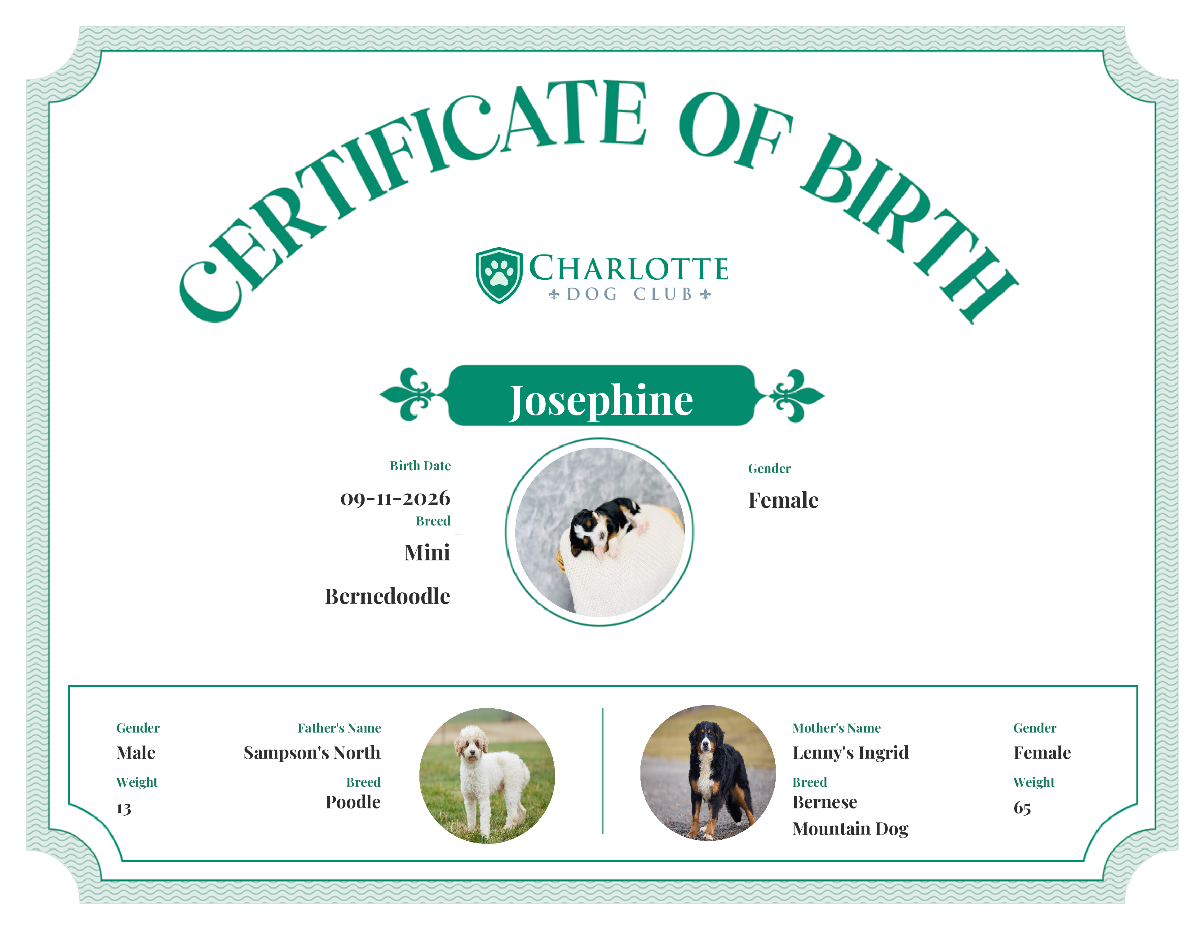Josephine's Birth Certificate