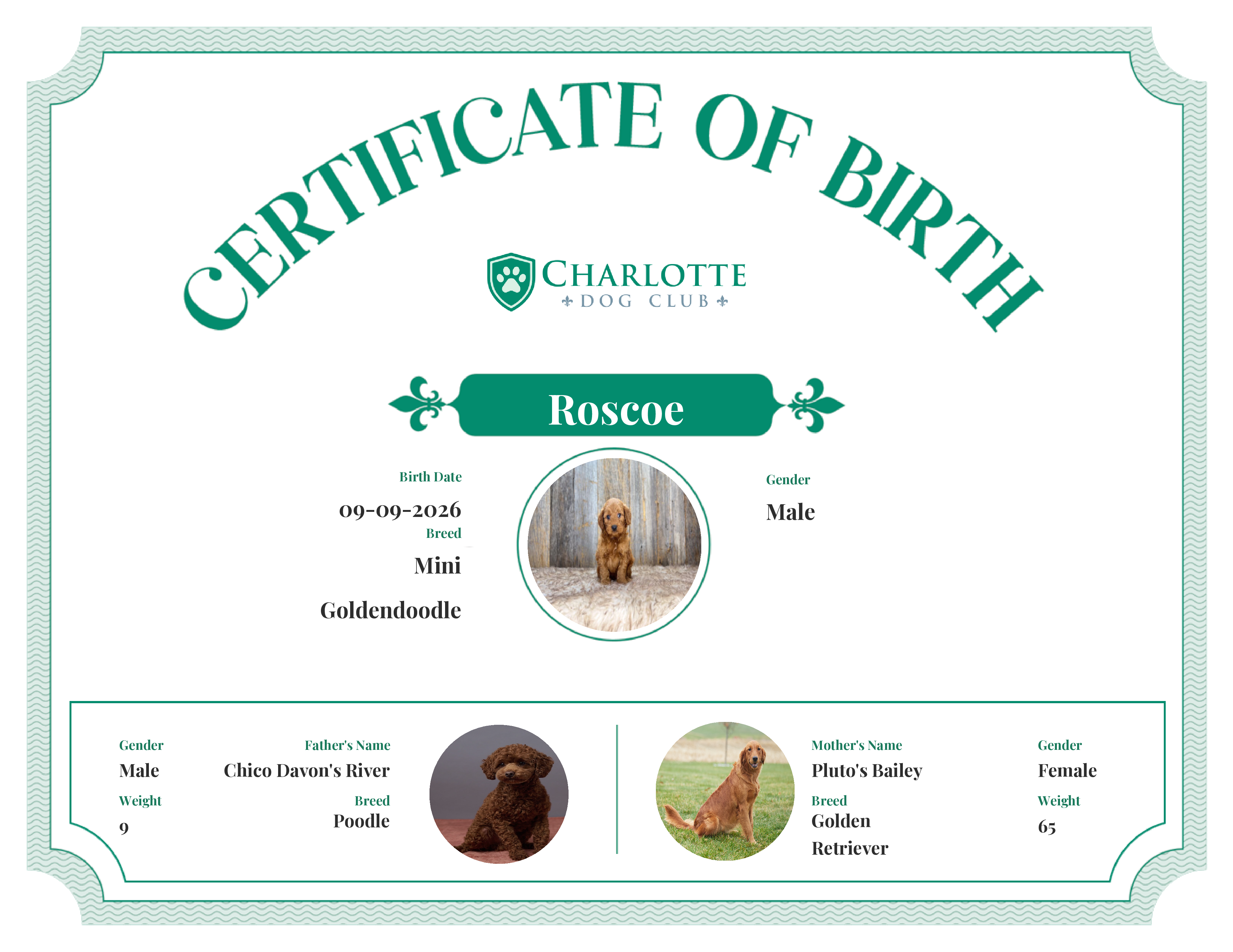 Hawkeye's Birth Certificate