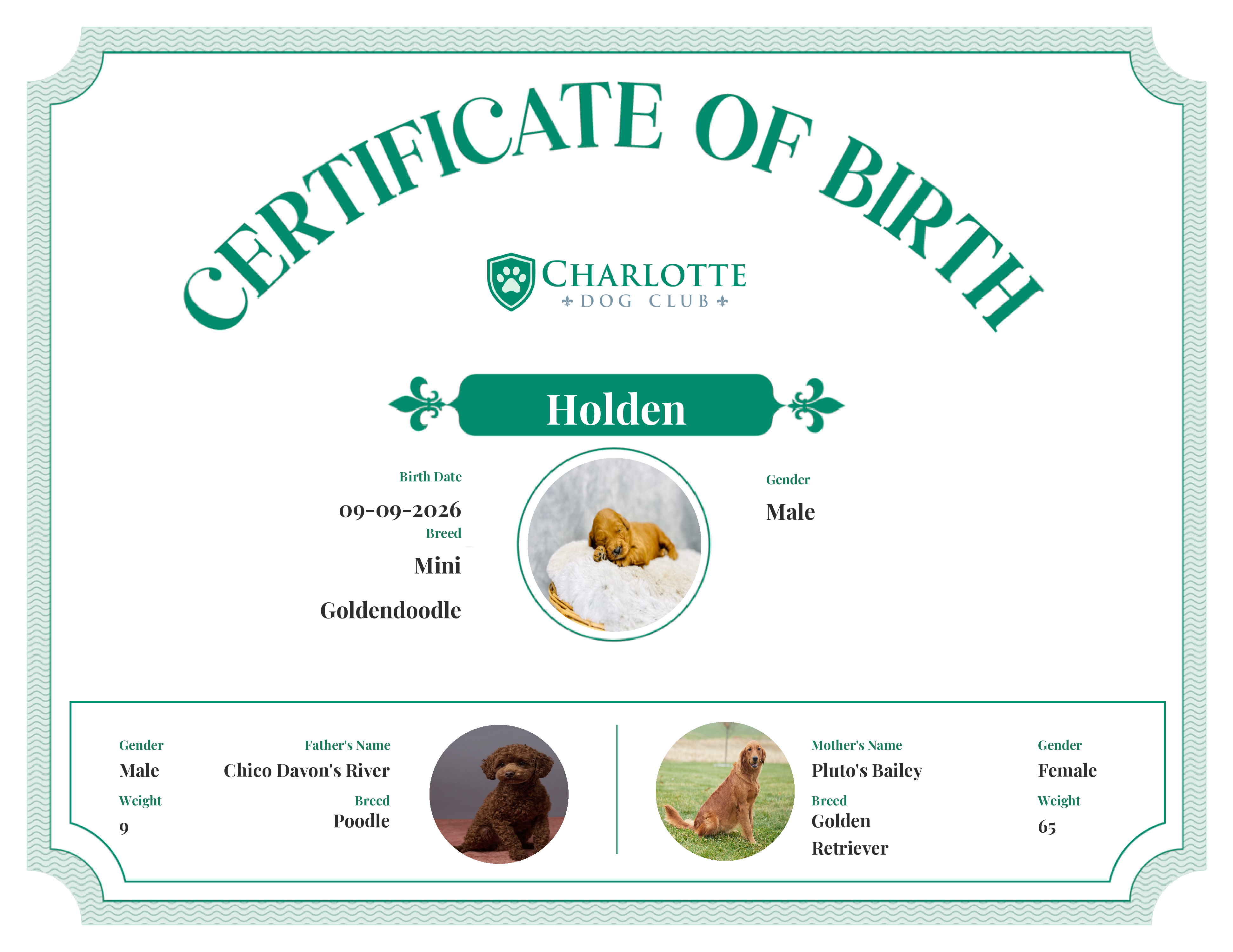 Holden's Birth Certificate