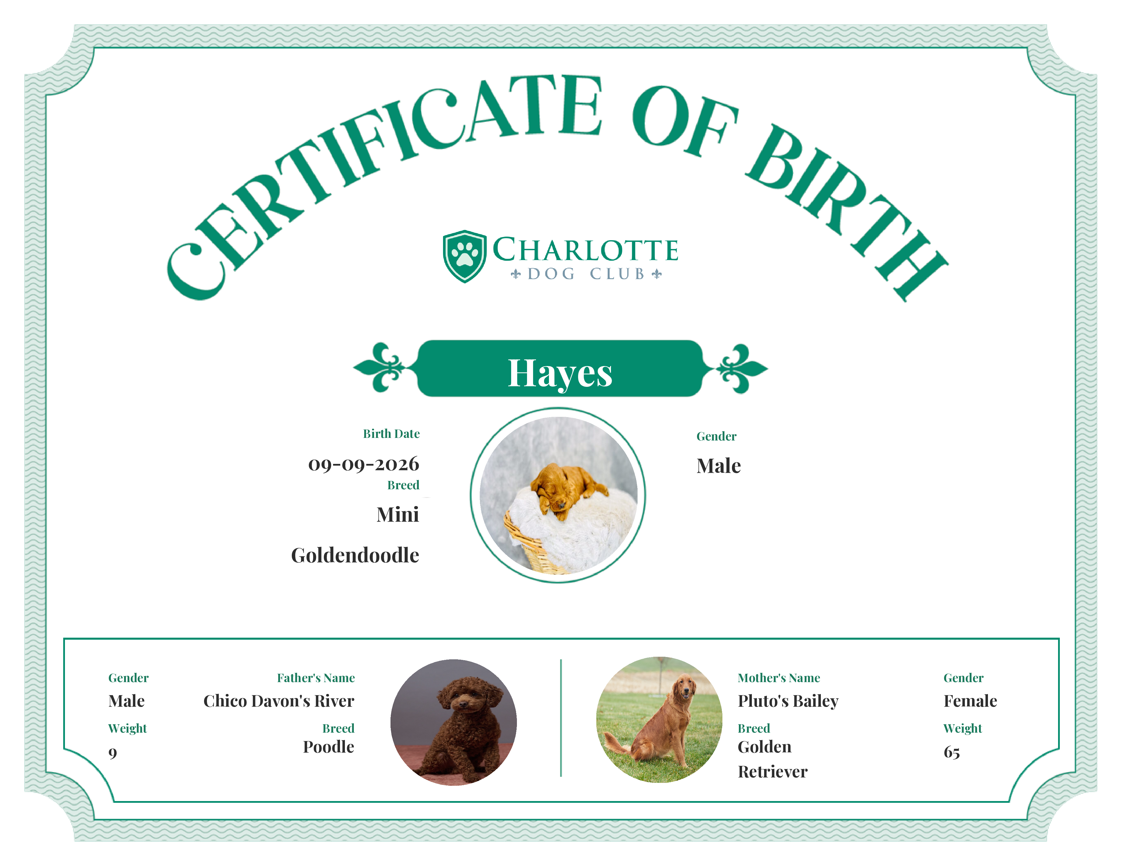 Hayes's Birth Certificate