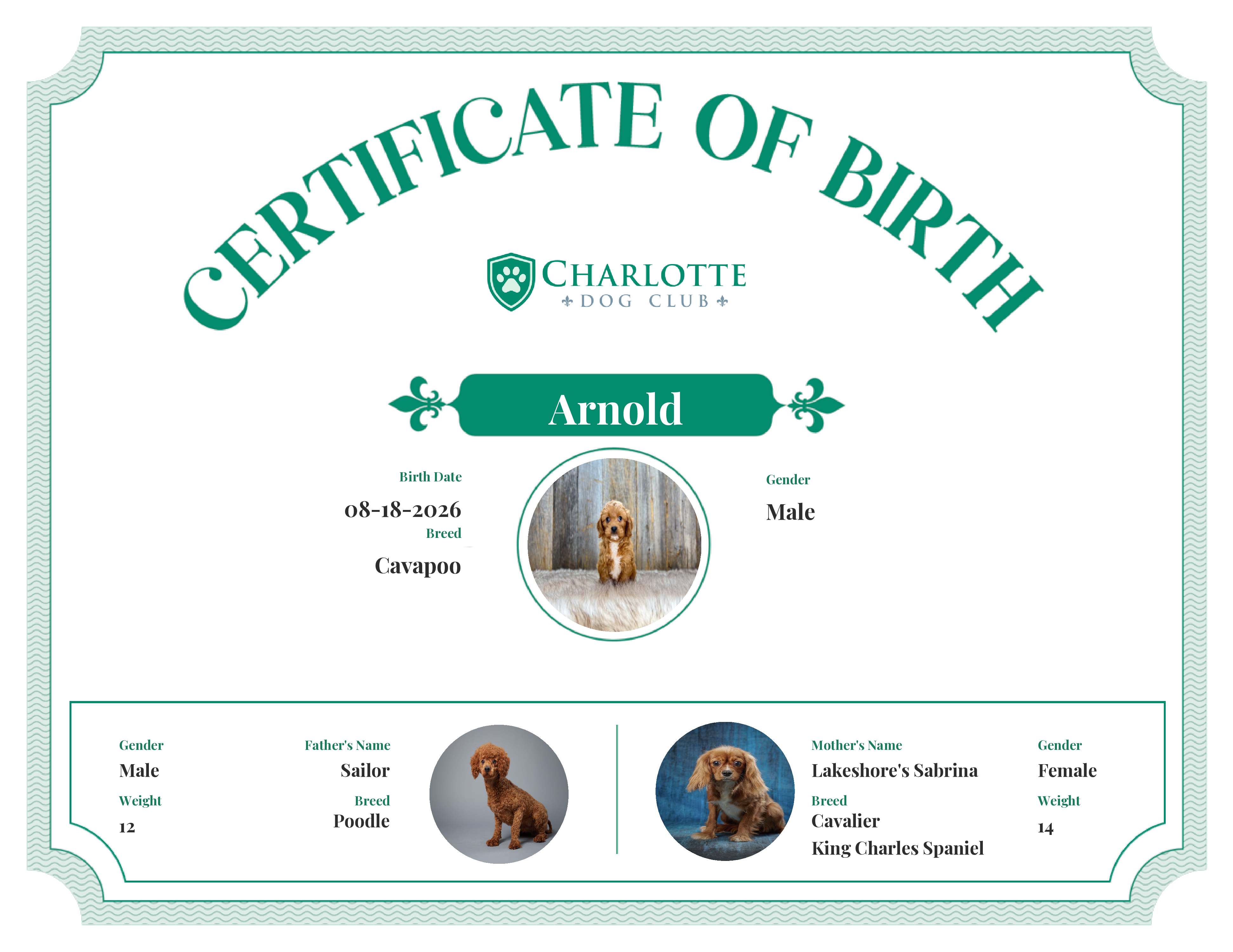 Arnold's Birth Certificate
