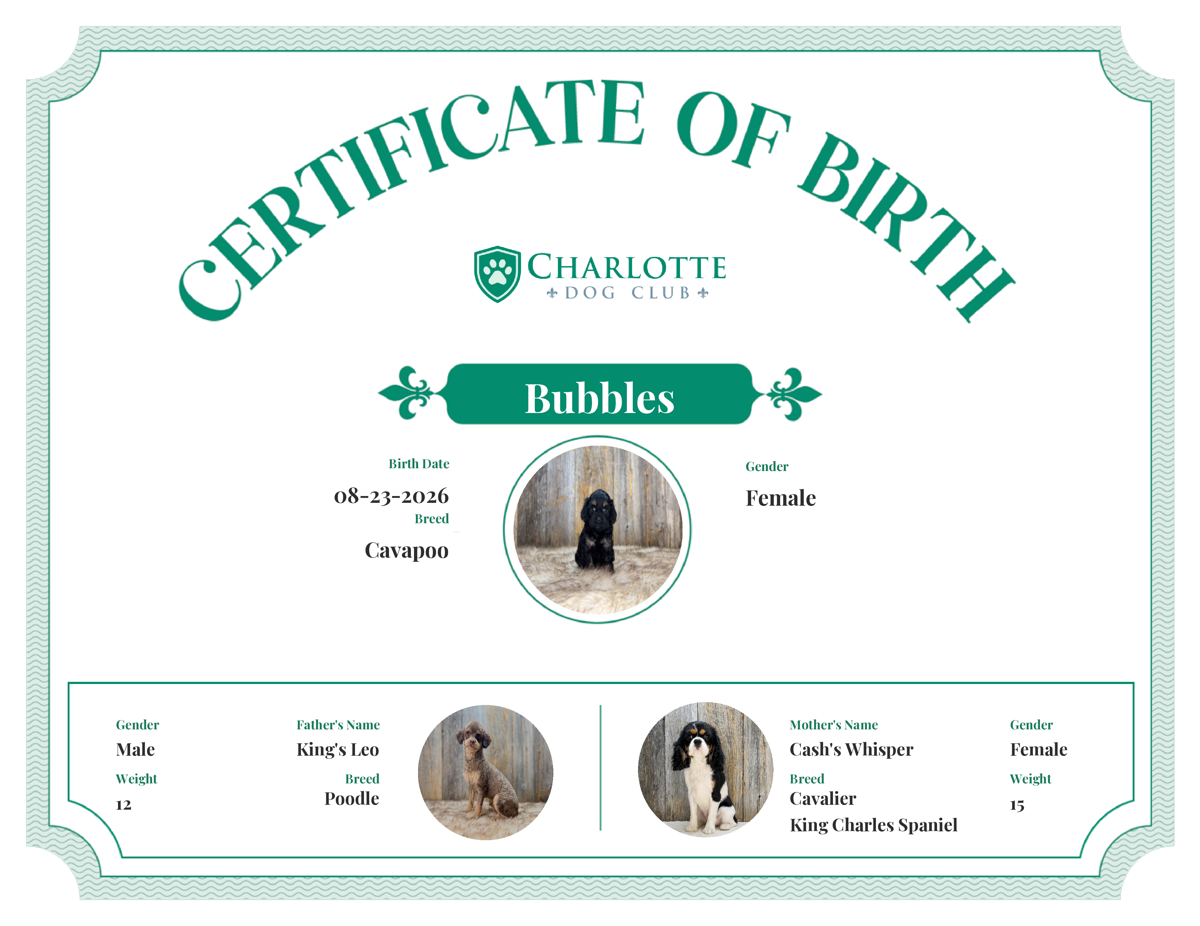 Bubbles's Birth Certificate