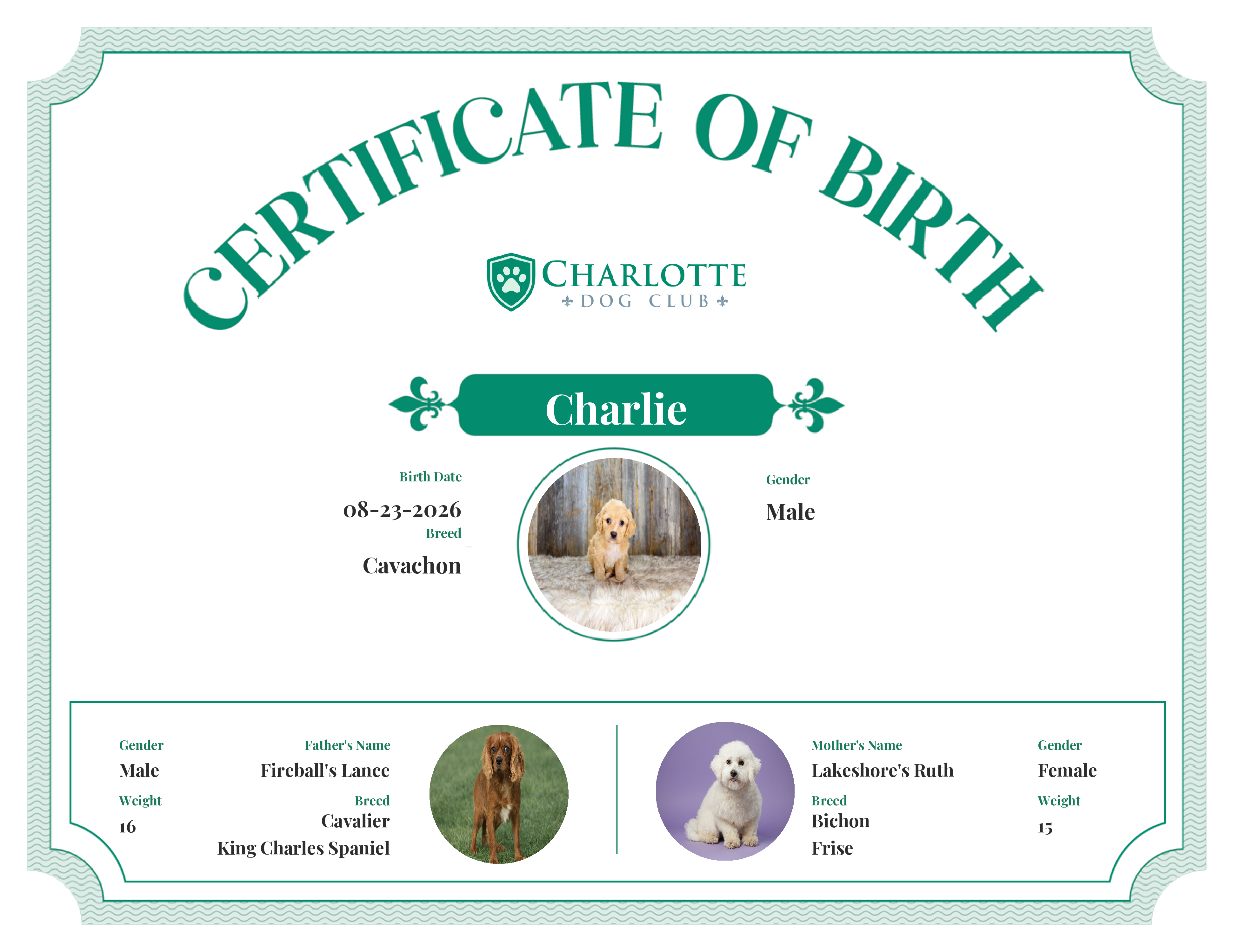 Charlie's Birth Certificate