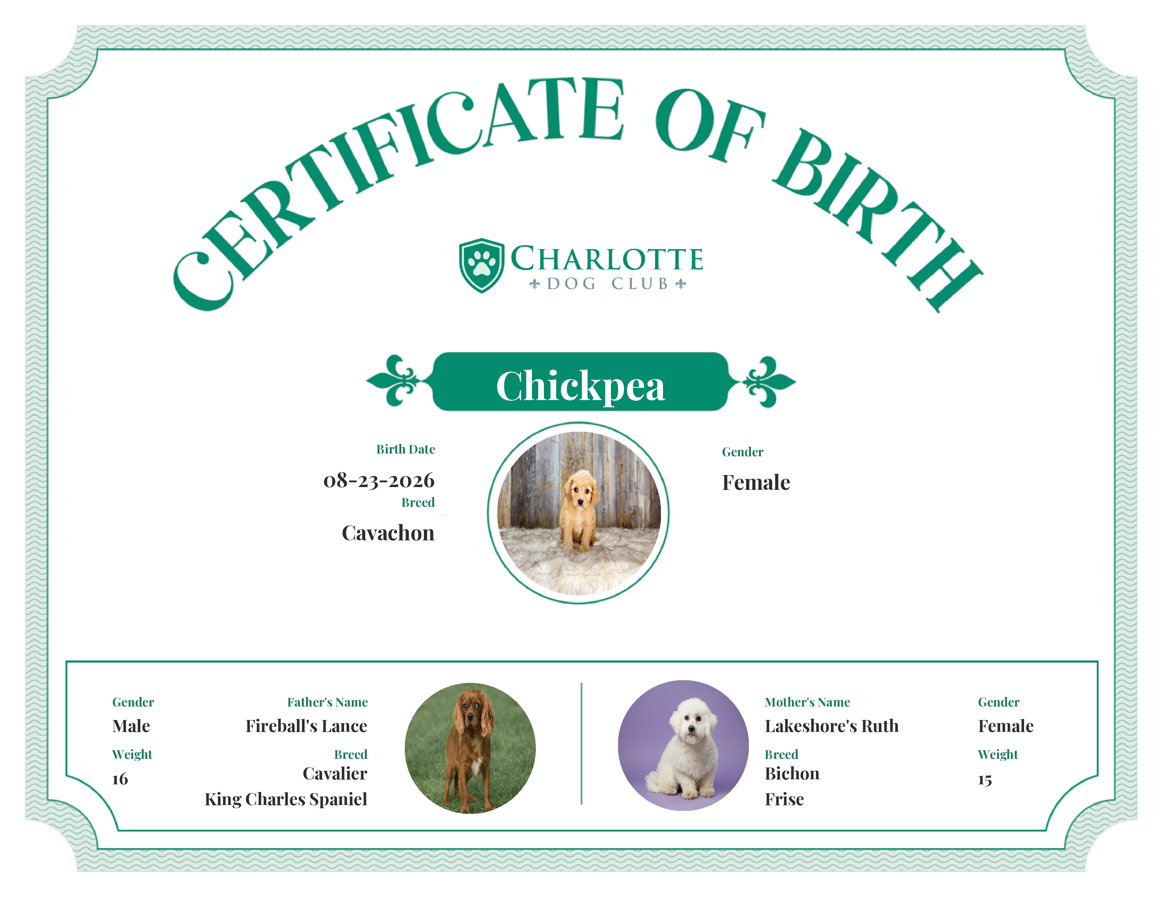 Chickpea's Birth Certificate