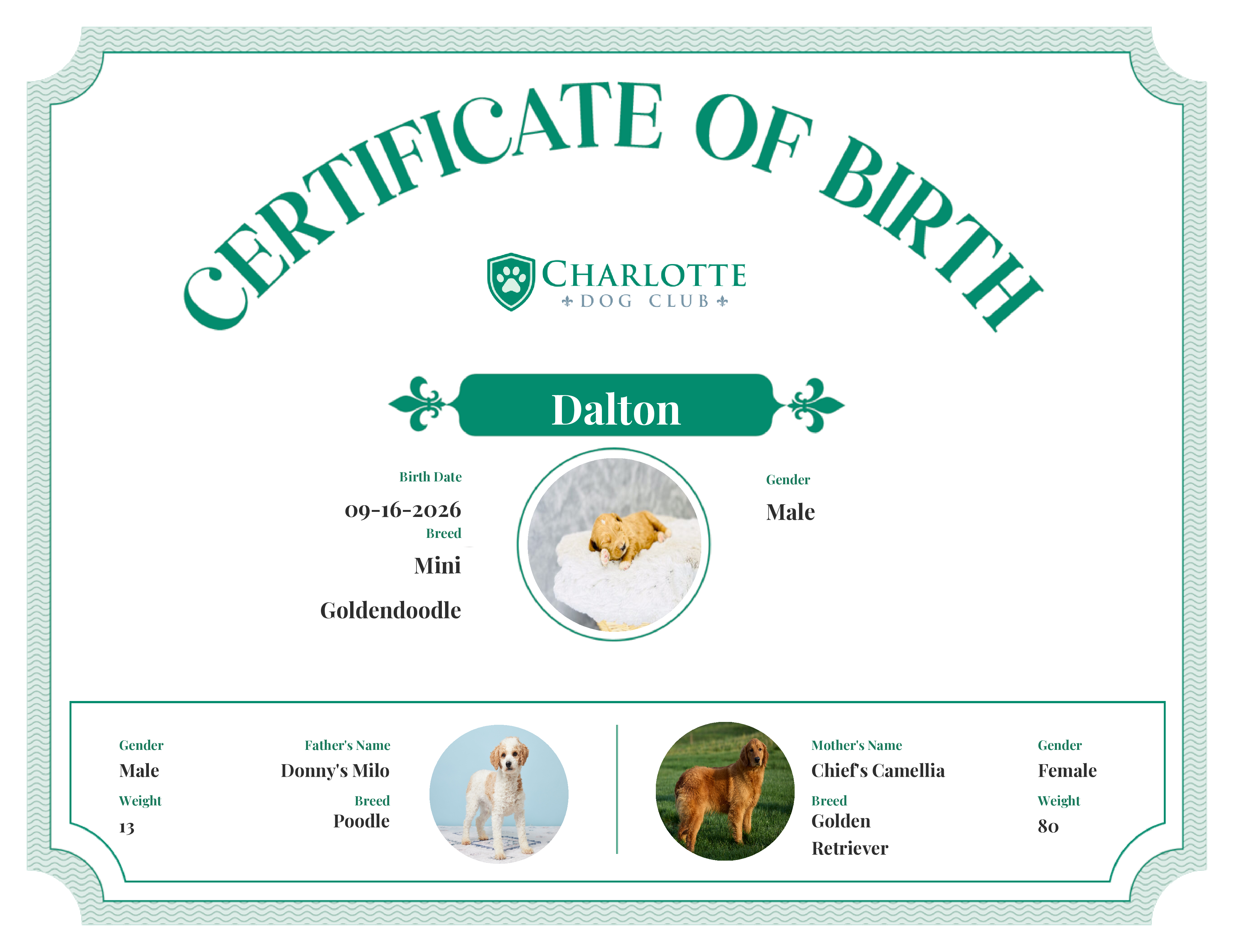 Dalton's Birth Certificate