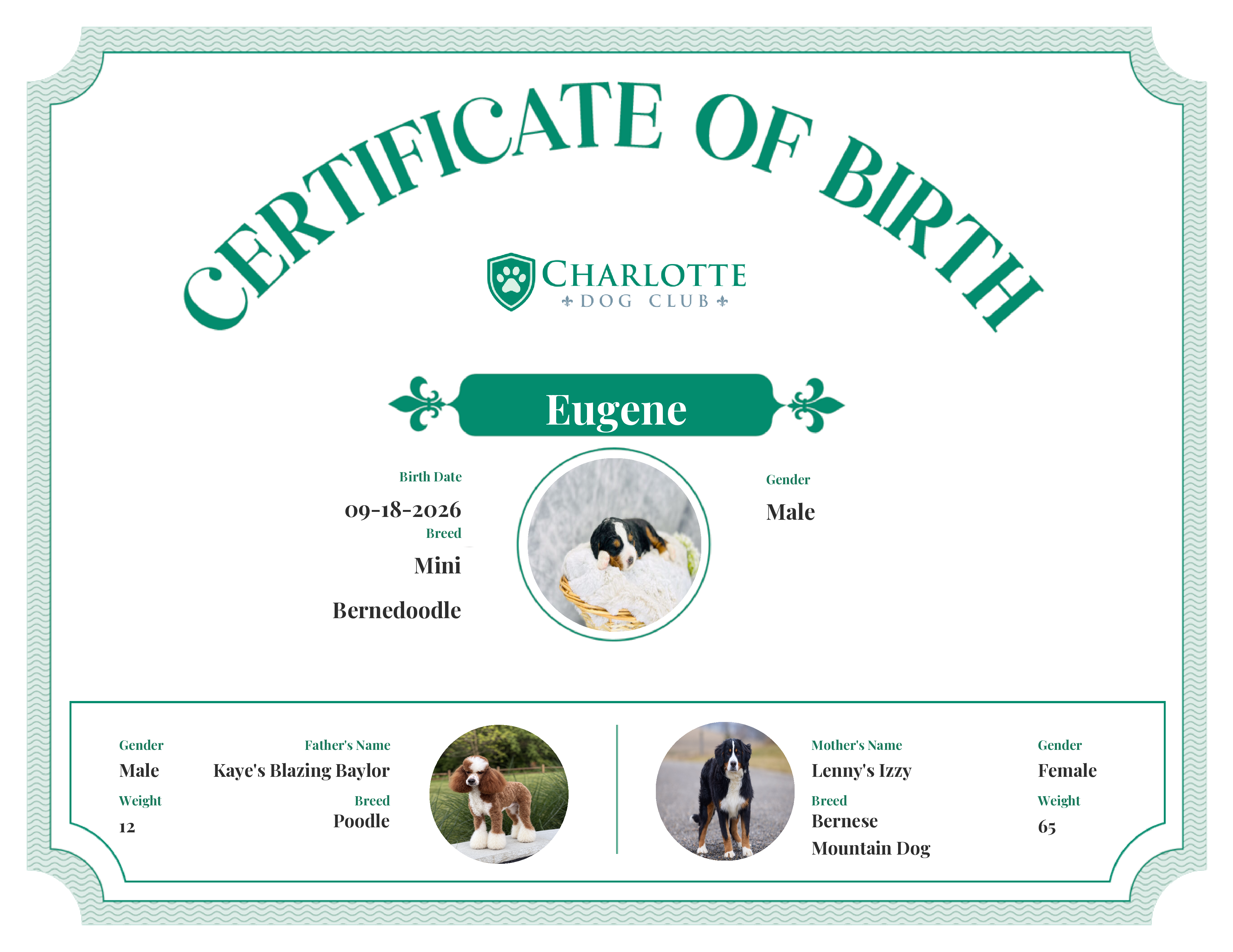 Eugene's Birth Certificate