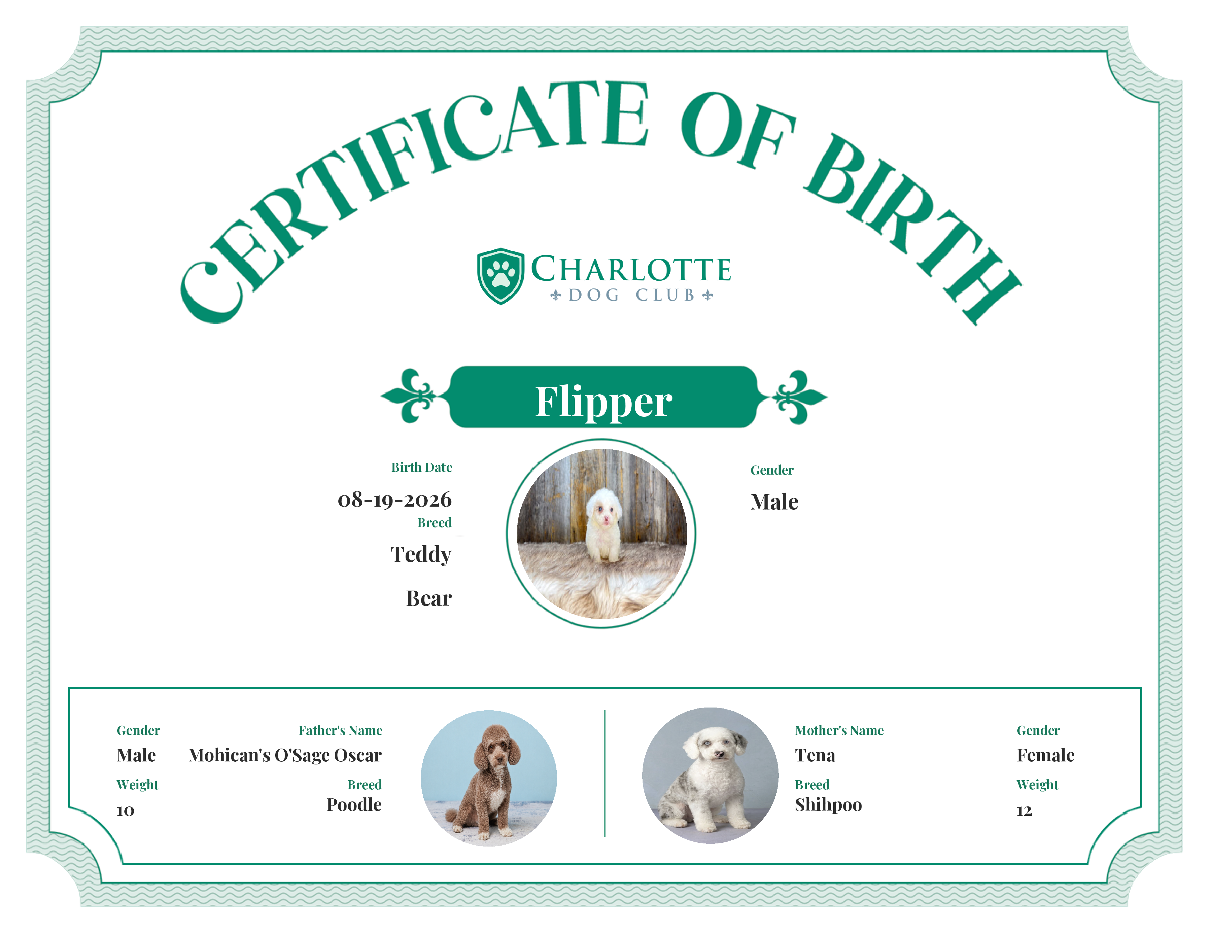 Flipper's Birth Certificate