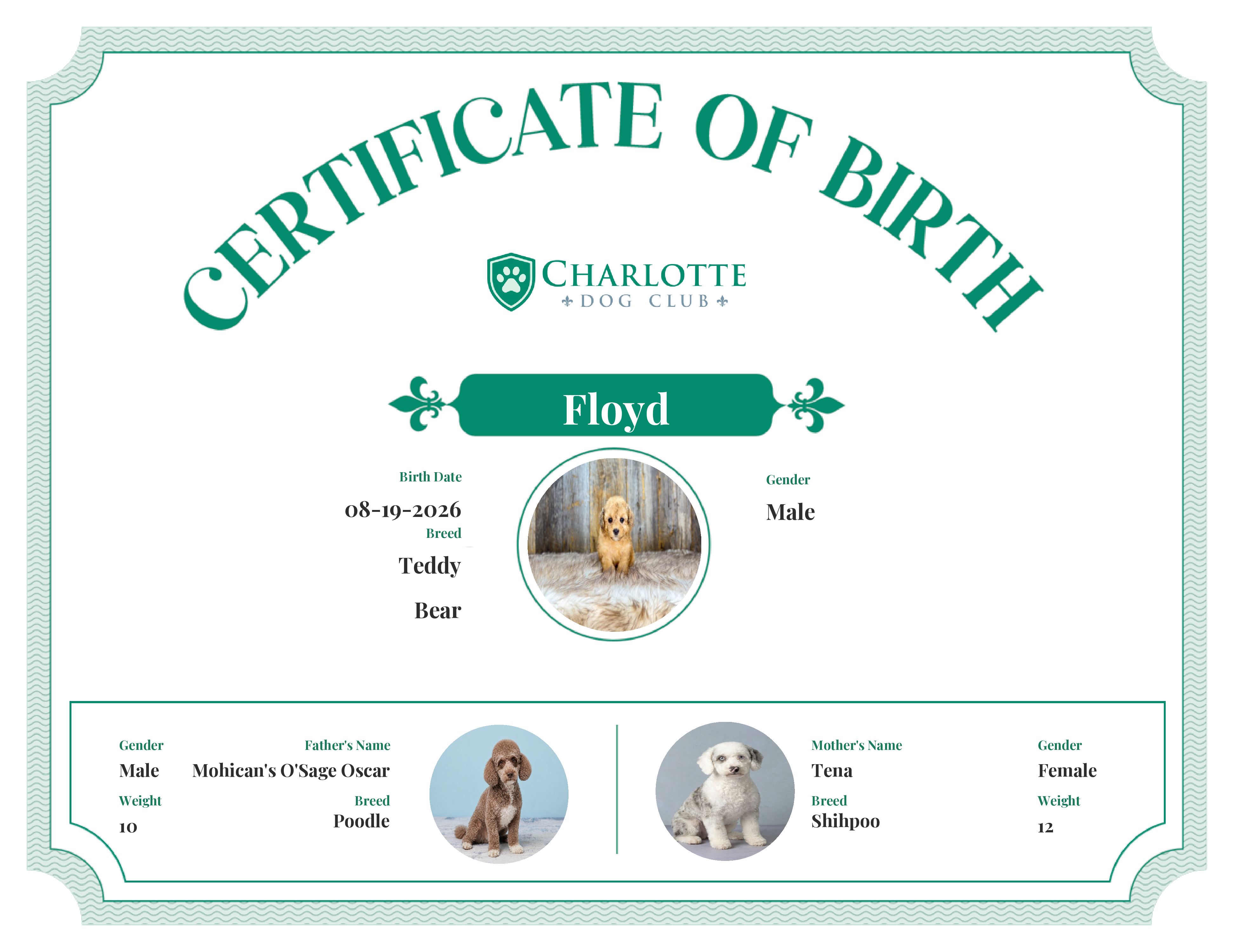 Floyd's Birth Certificate