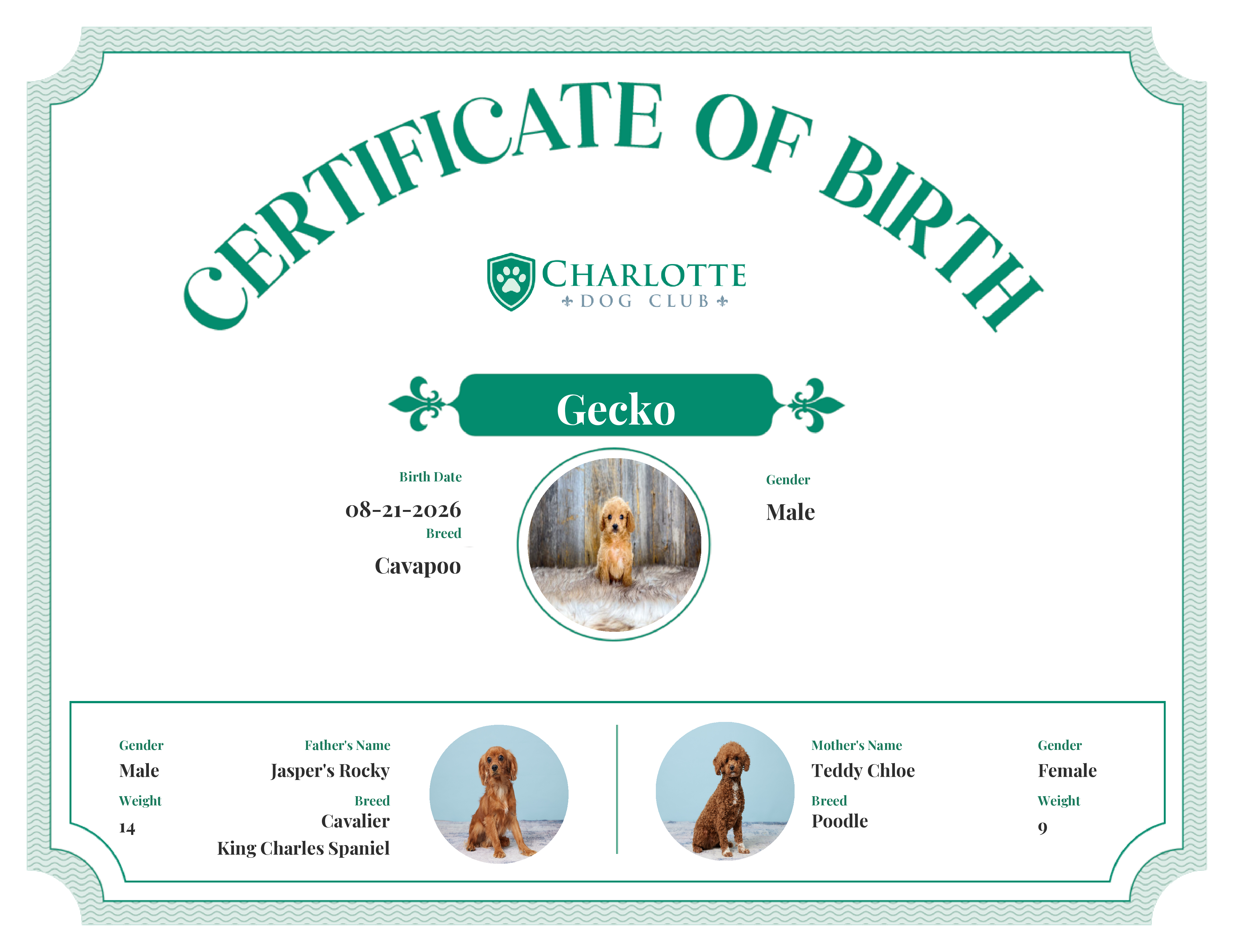 Gecko's Birth Certificate