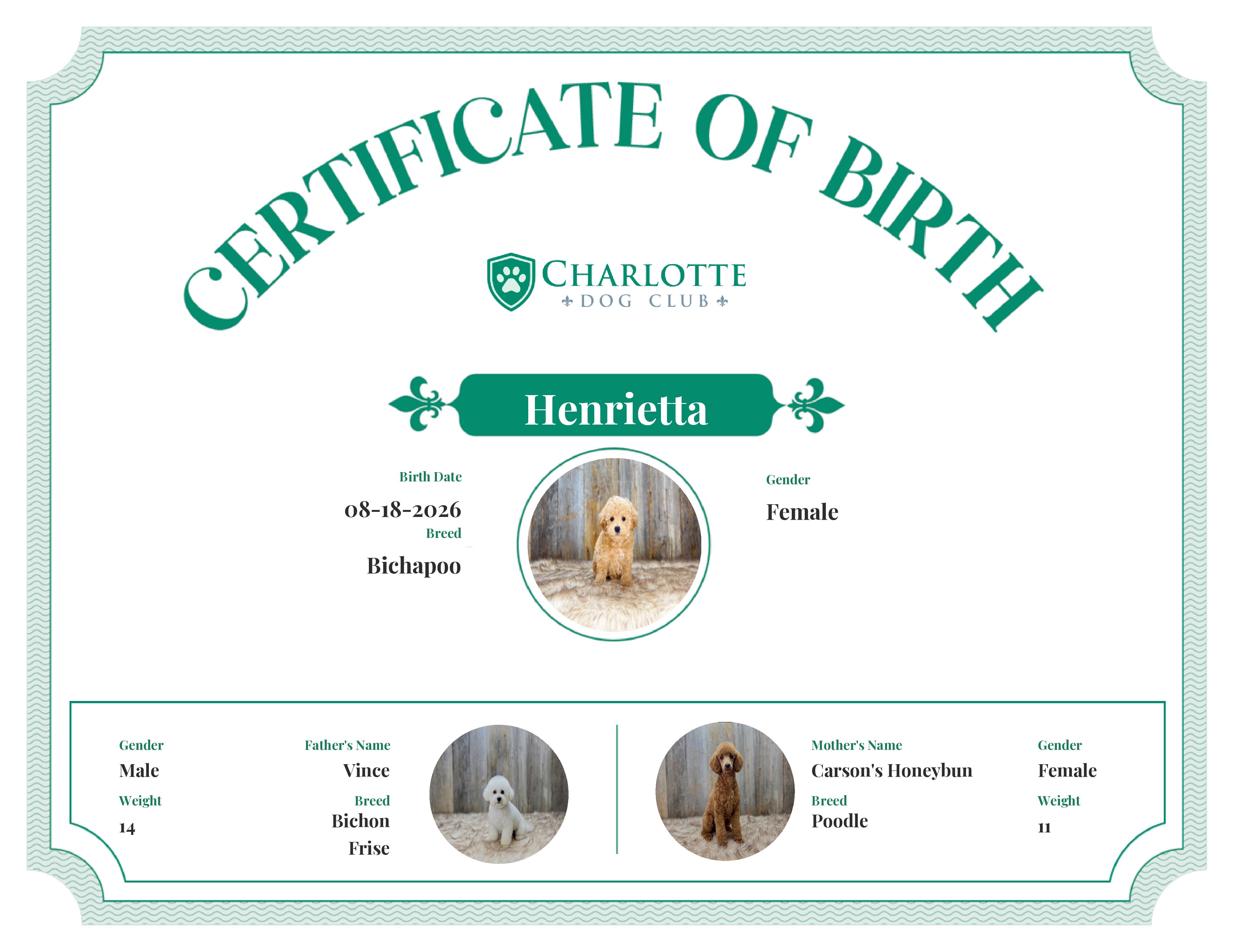 Henrietta's Birth Certificate