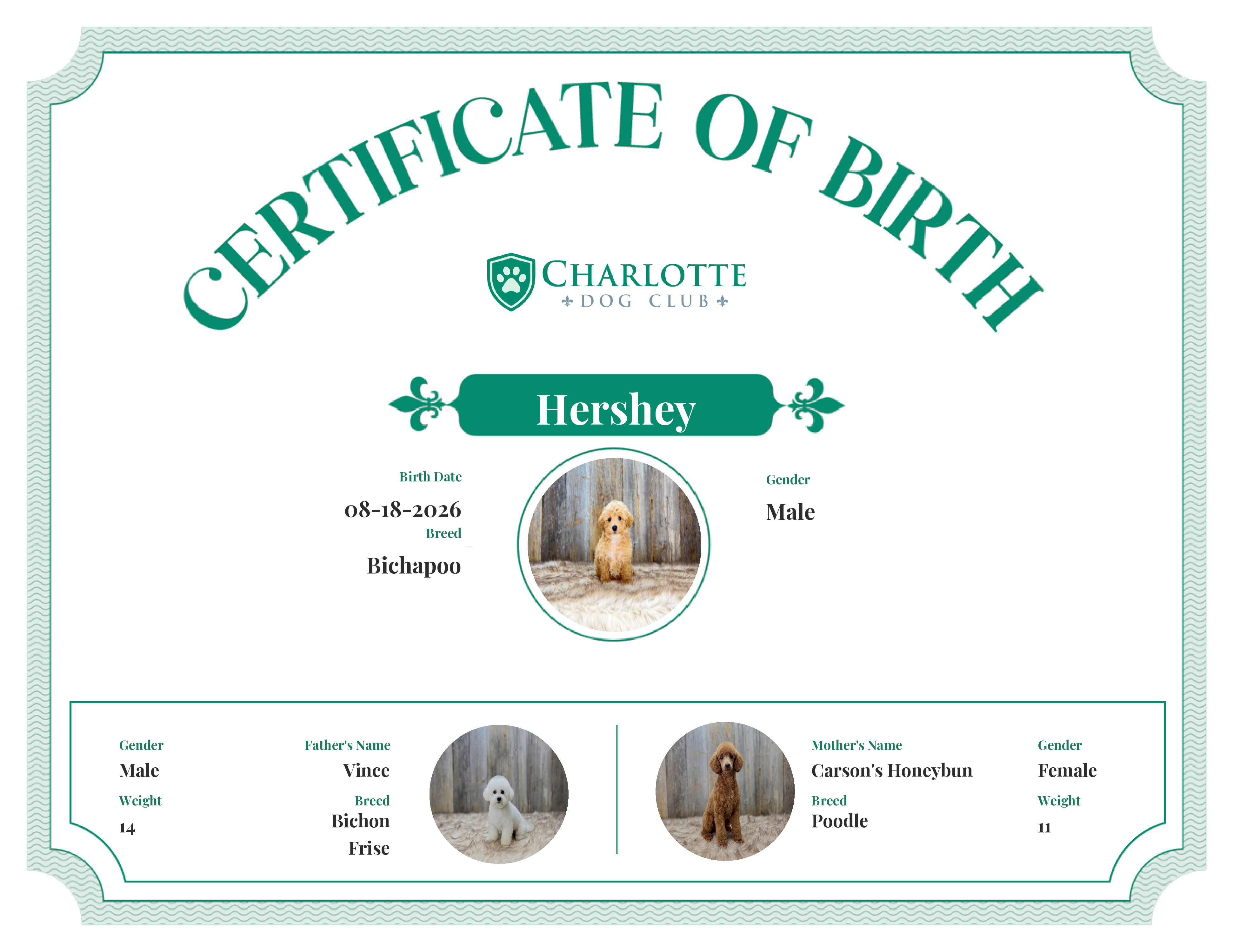 Hershey's Birth Certificate