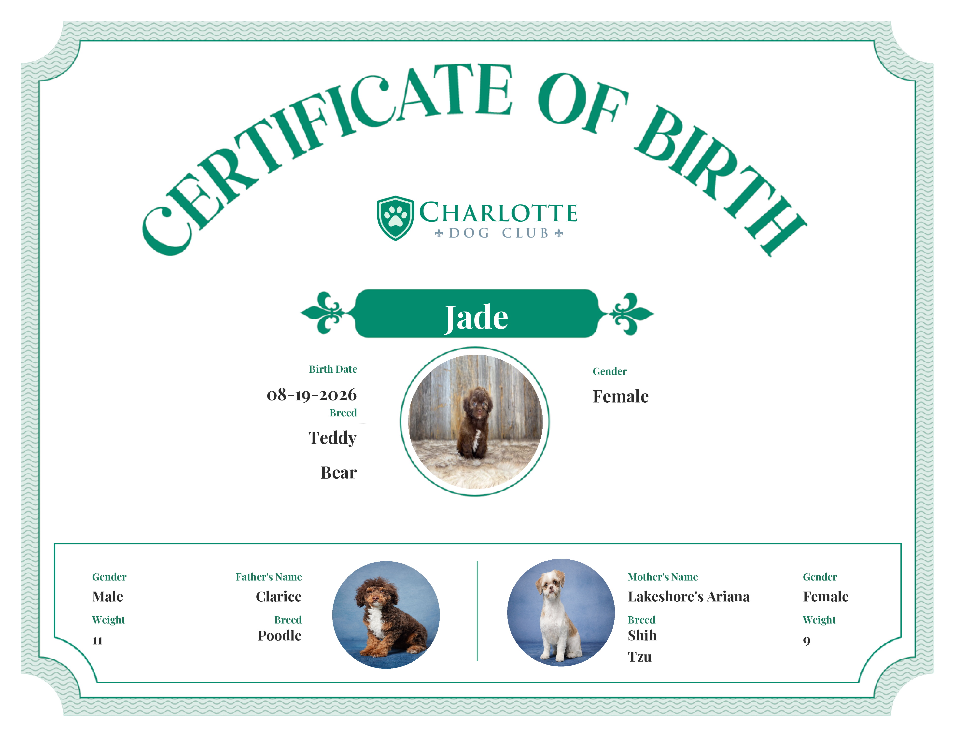 Jade's Birth Certificate