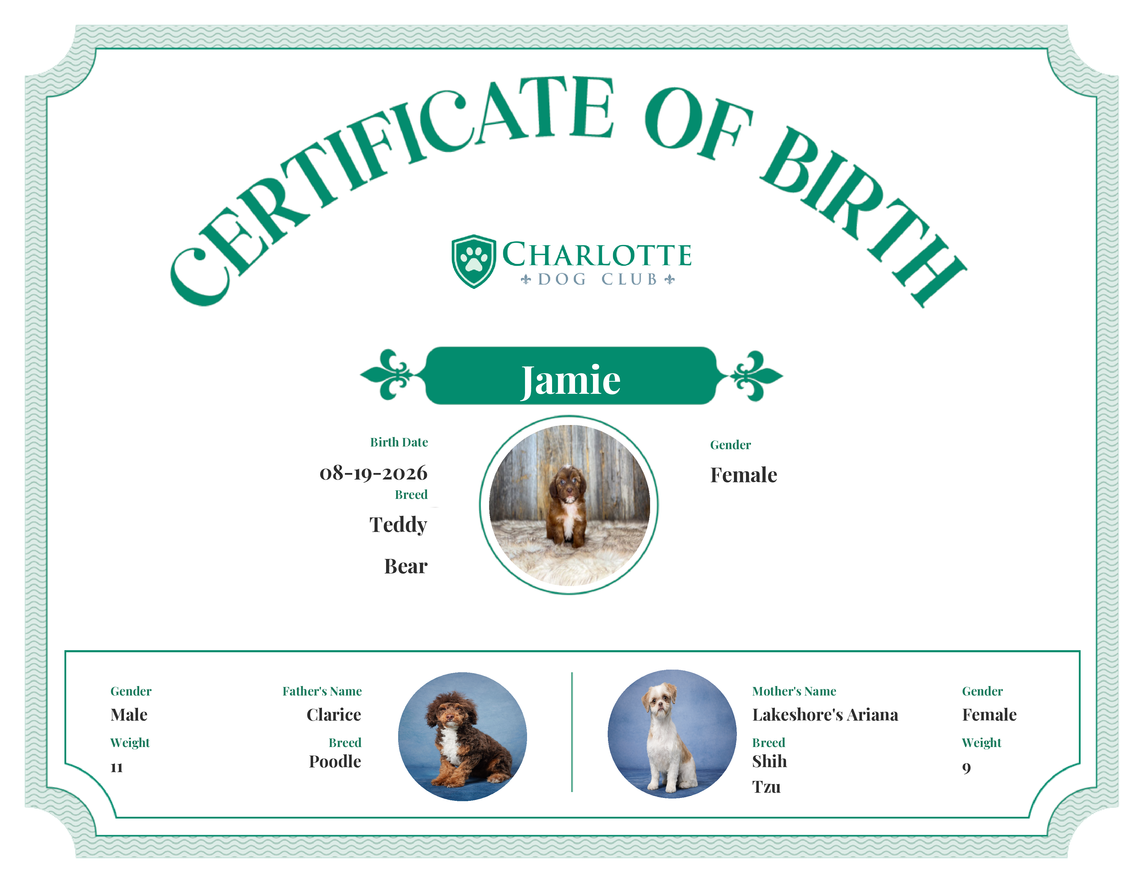 Jamie's Birth Certificate