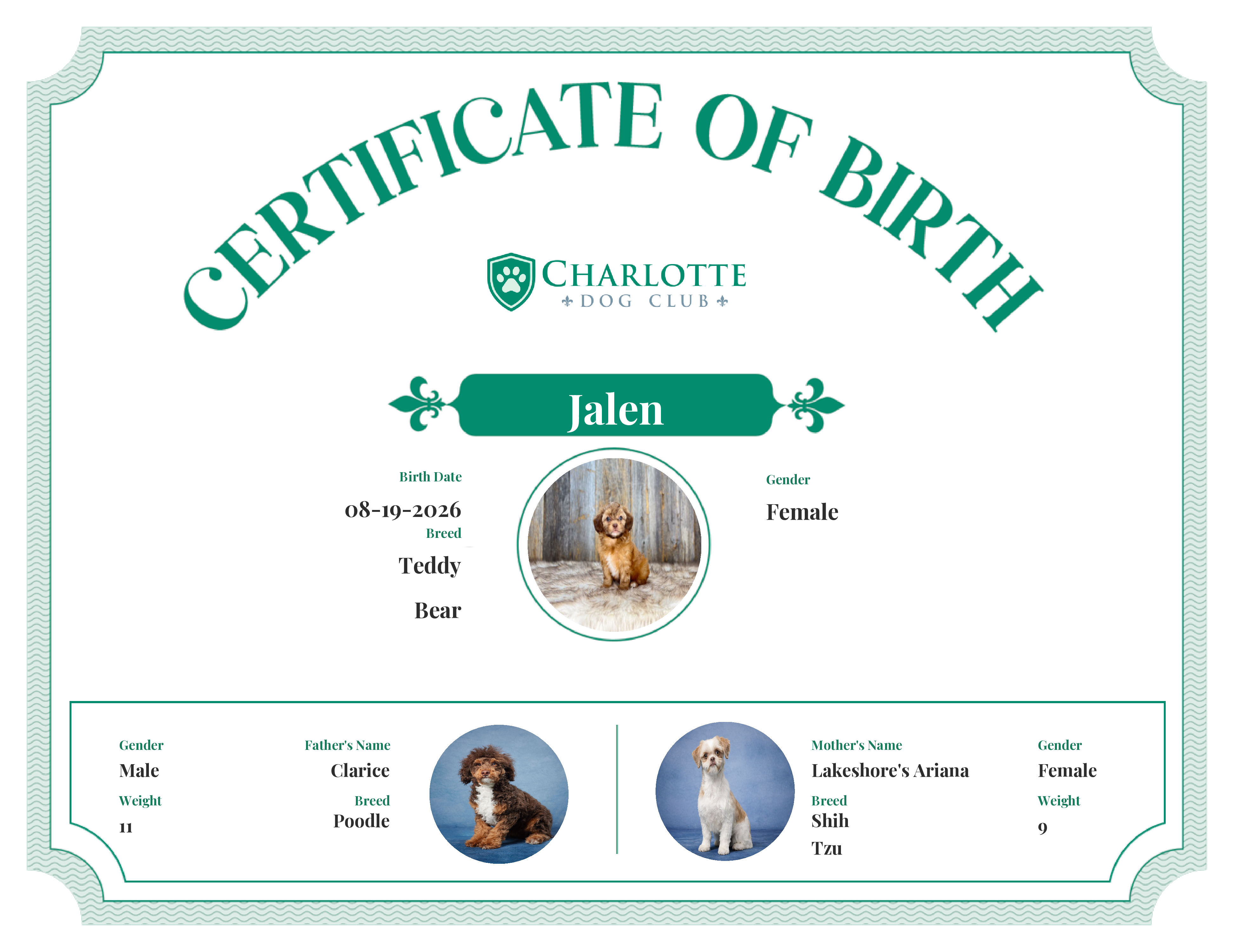 Jalen's Birth Certificate