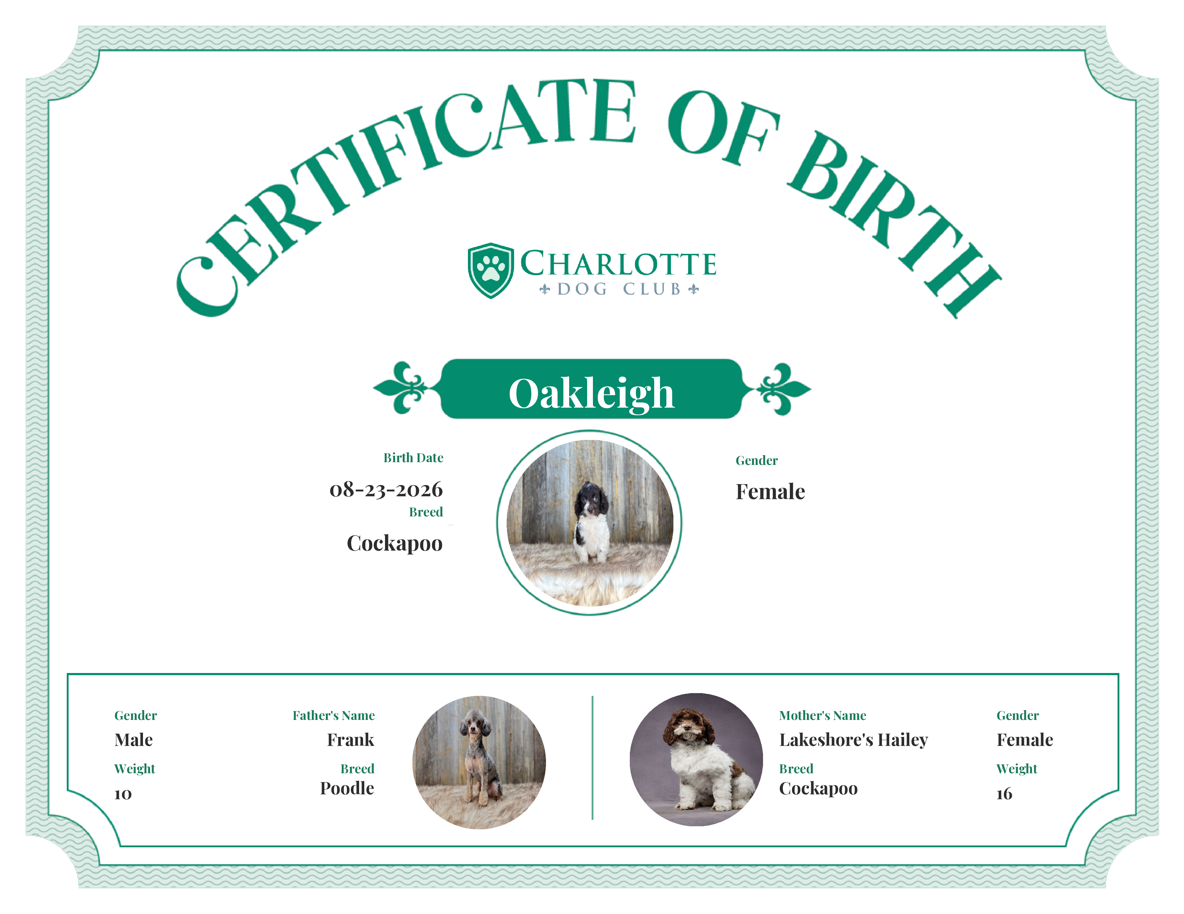 Oakleigh's Birth Certificate