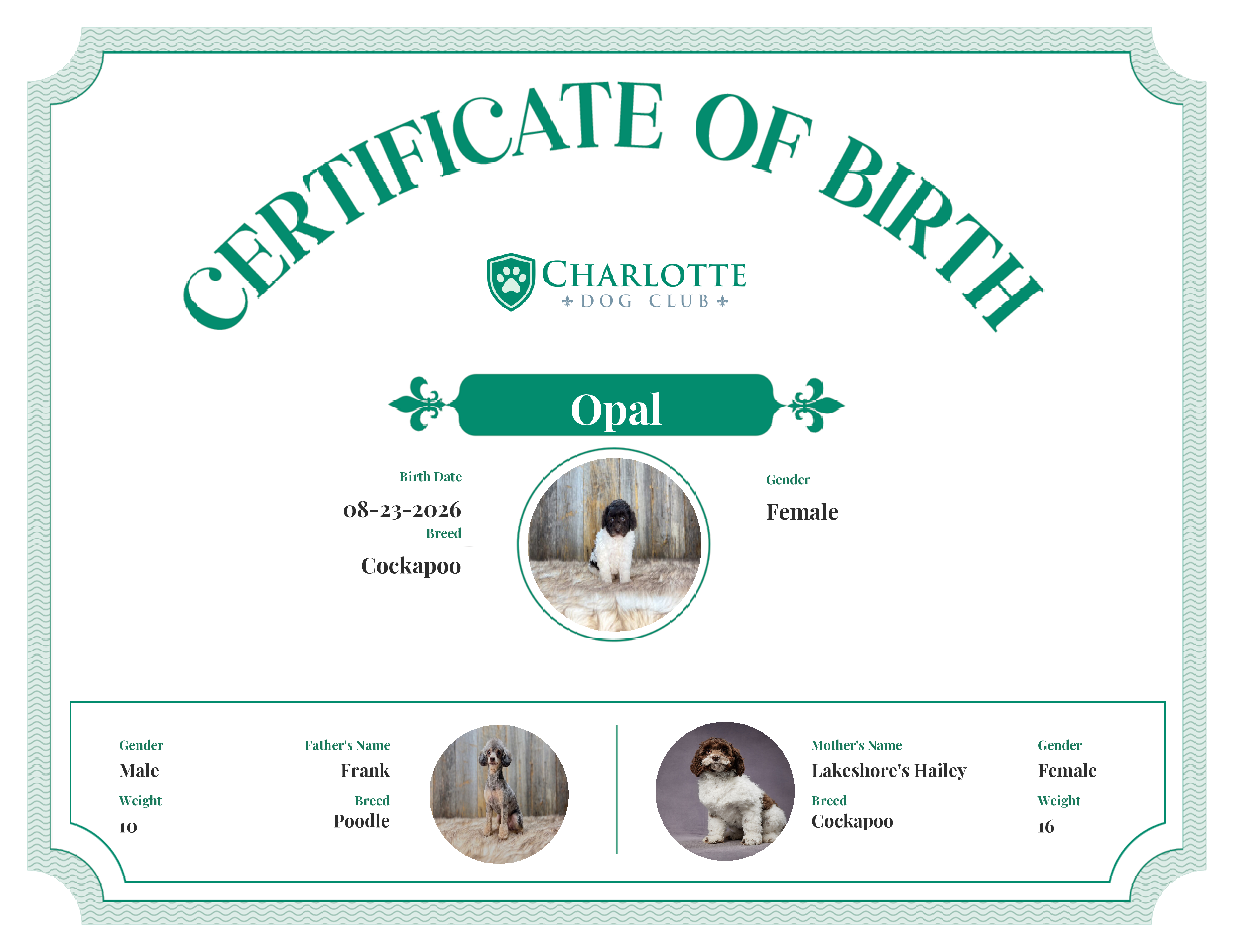 Opal's Birth Certificate