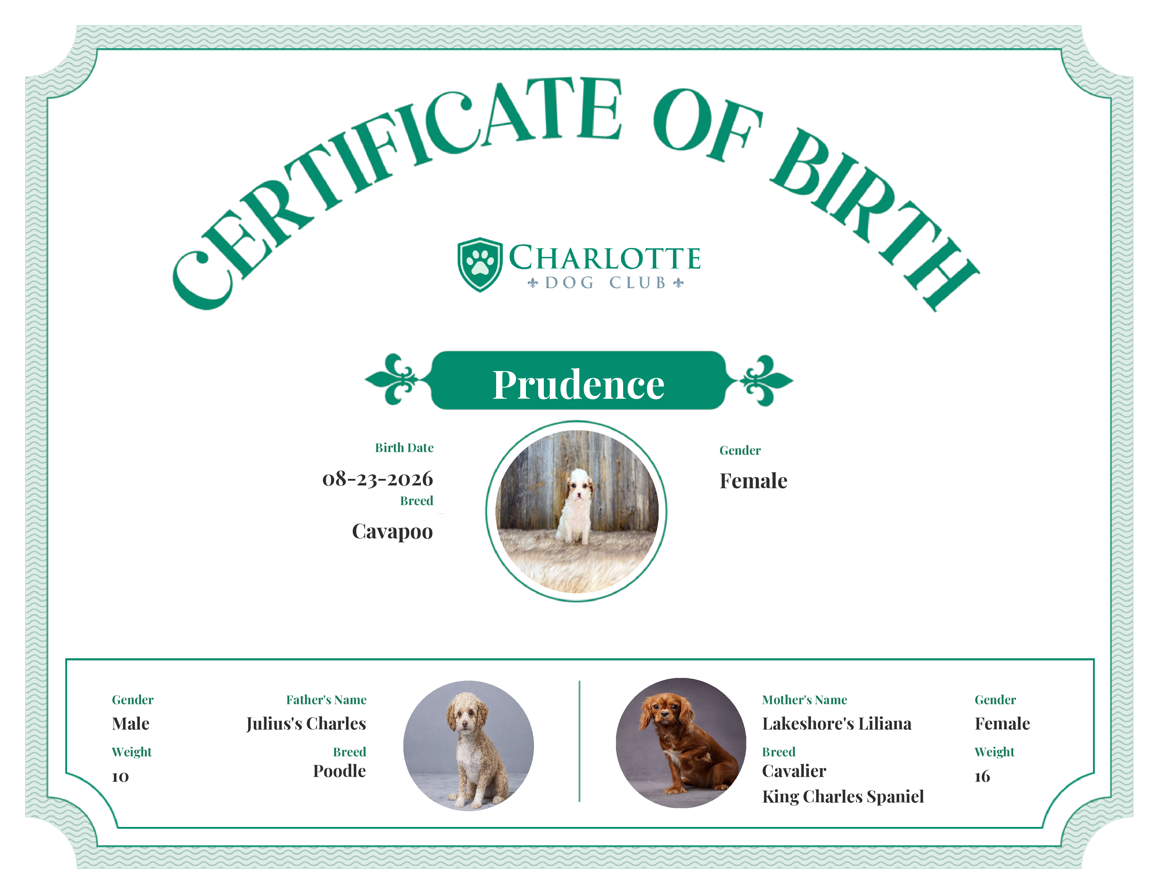 Prudence's Birth Certificate