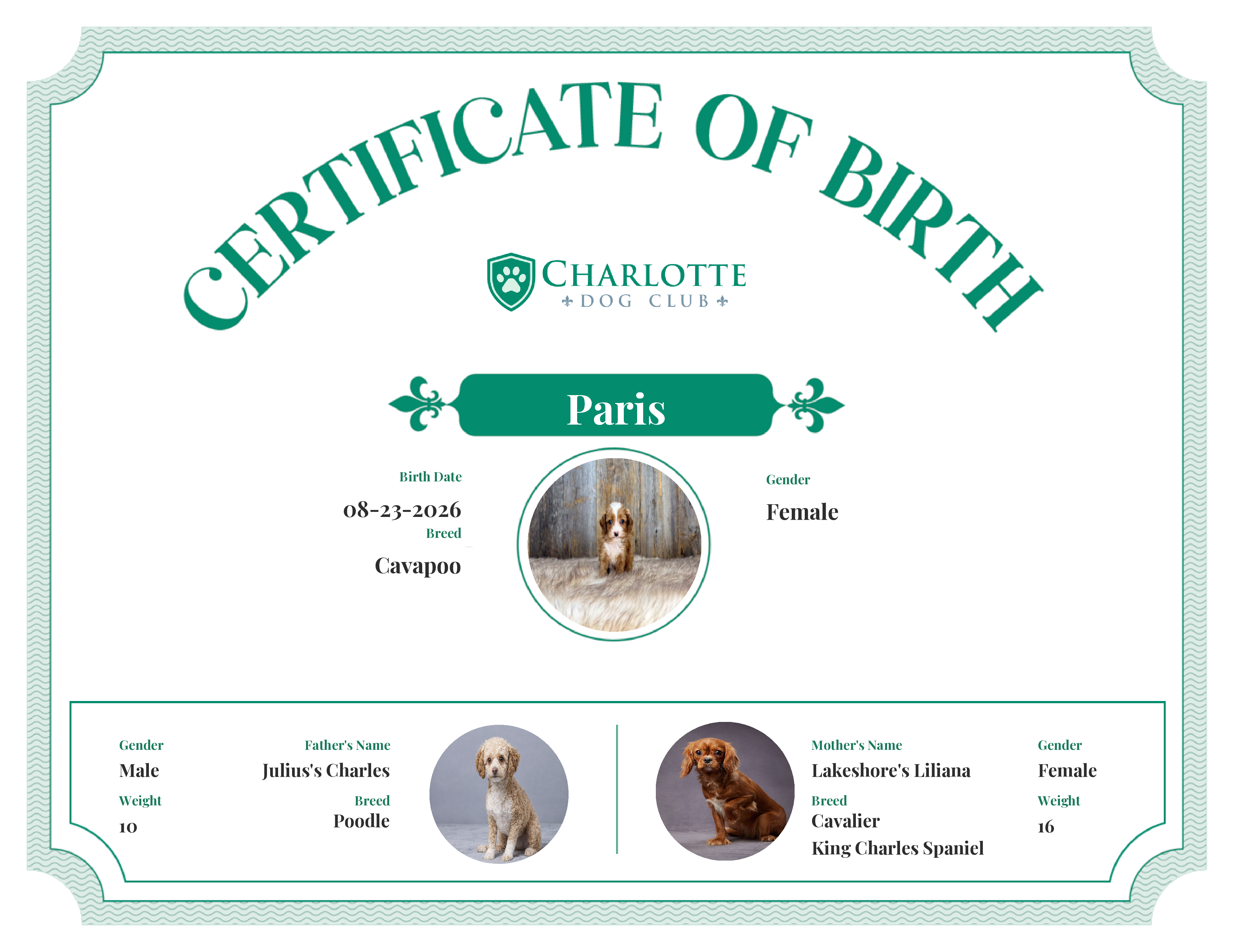 Paris's Birth Certificate