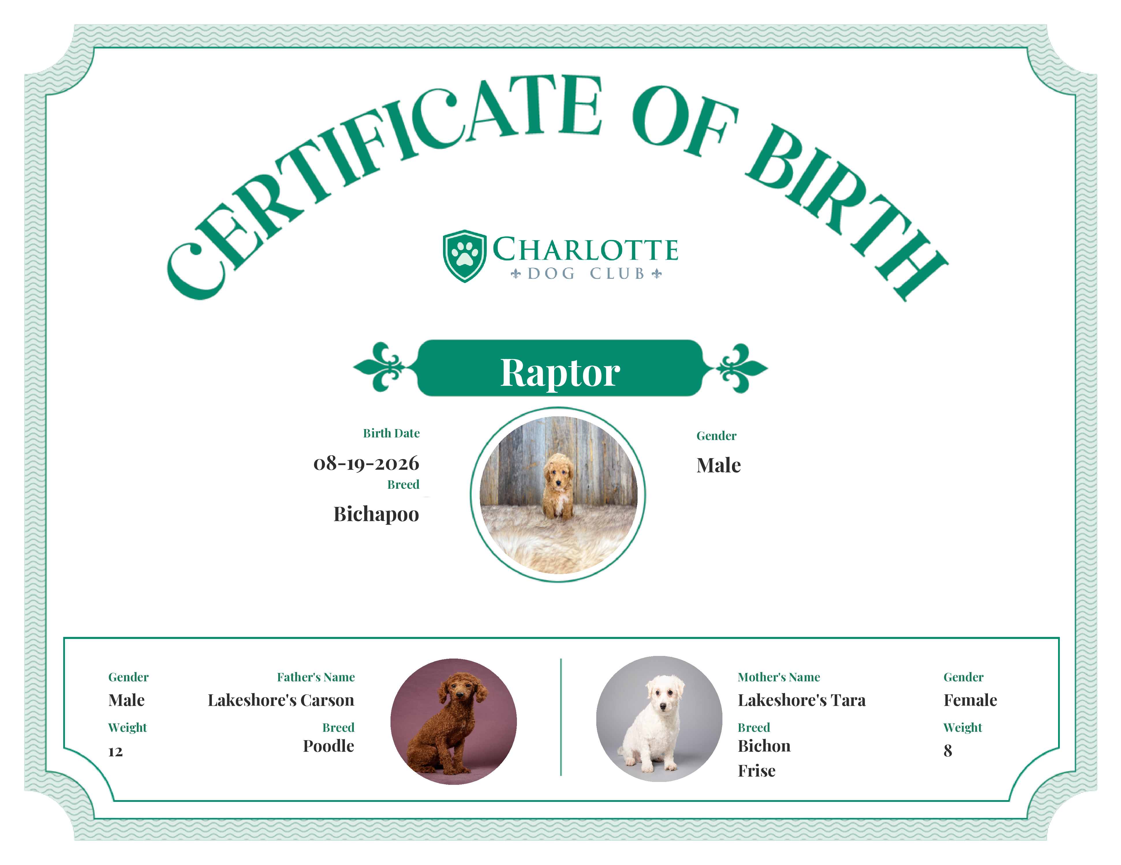 Raptor's Birth Certificate