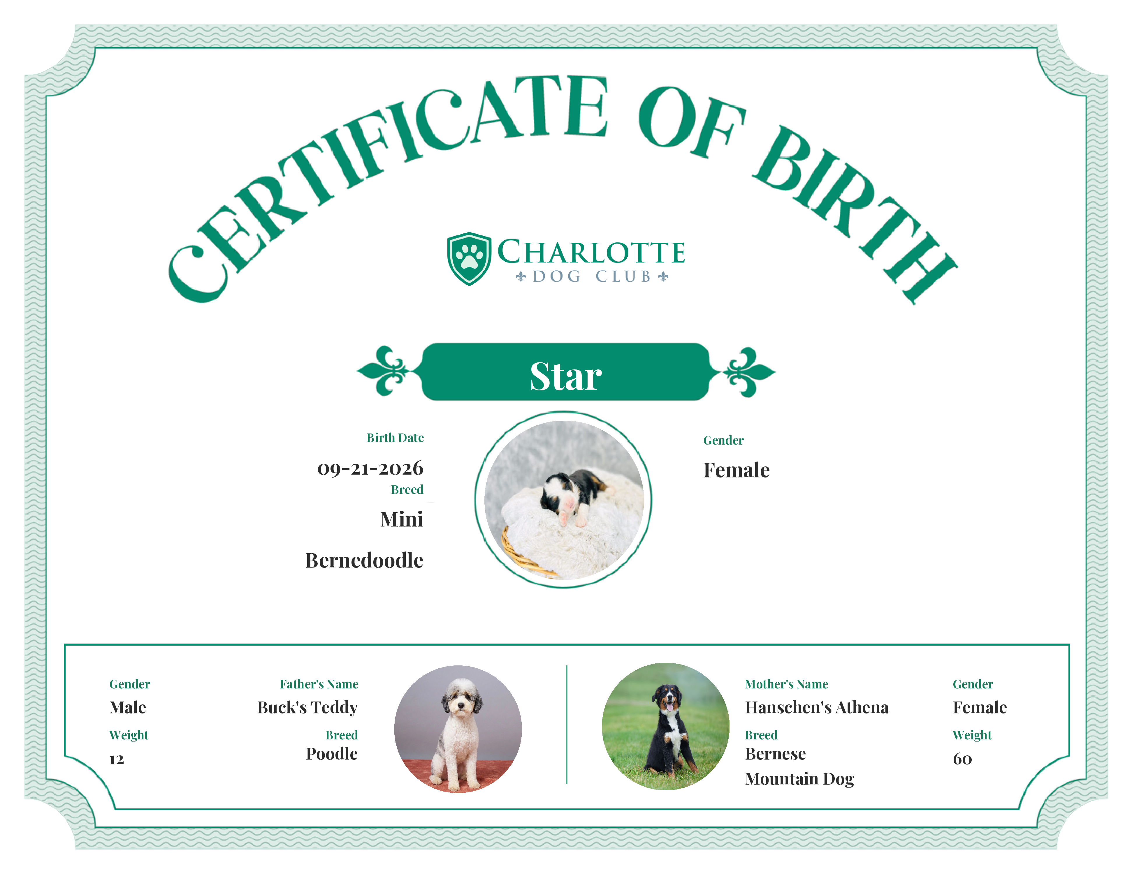 Star's Birth Certificate