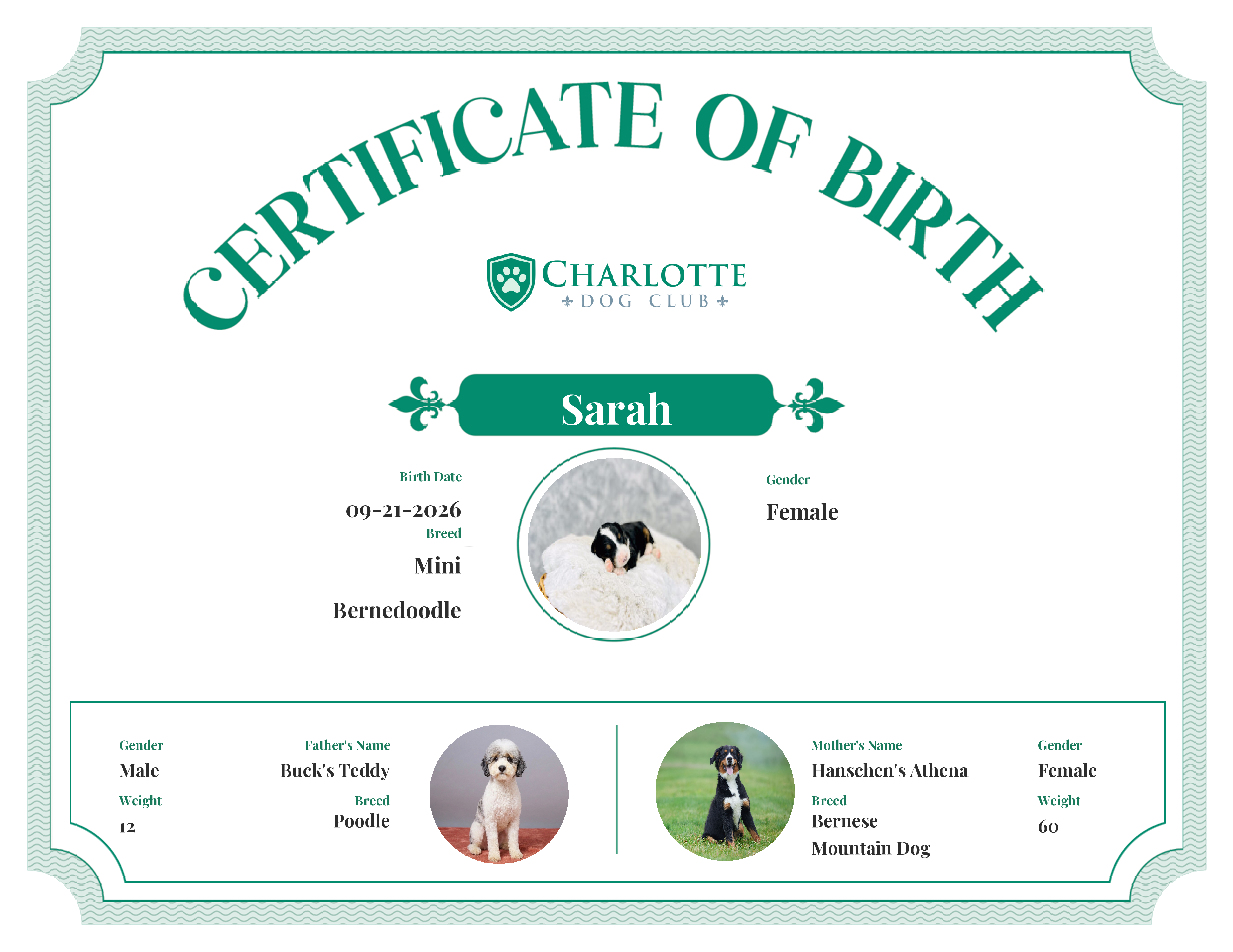 Sarah's Birth Certificate